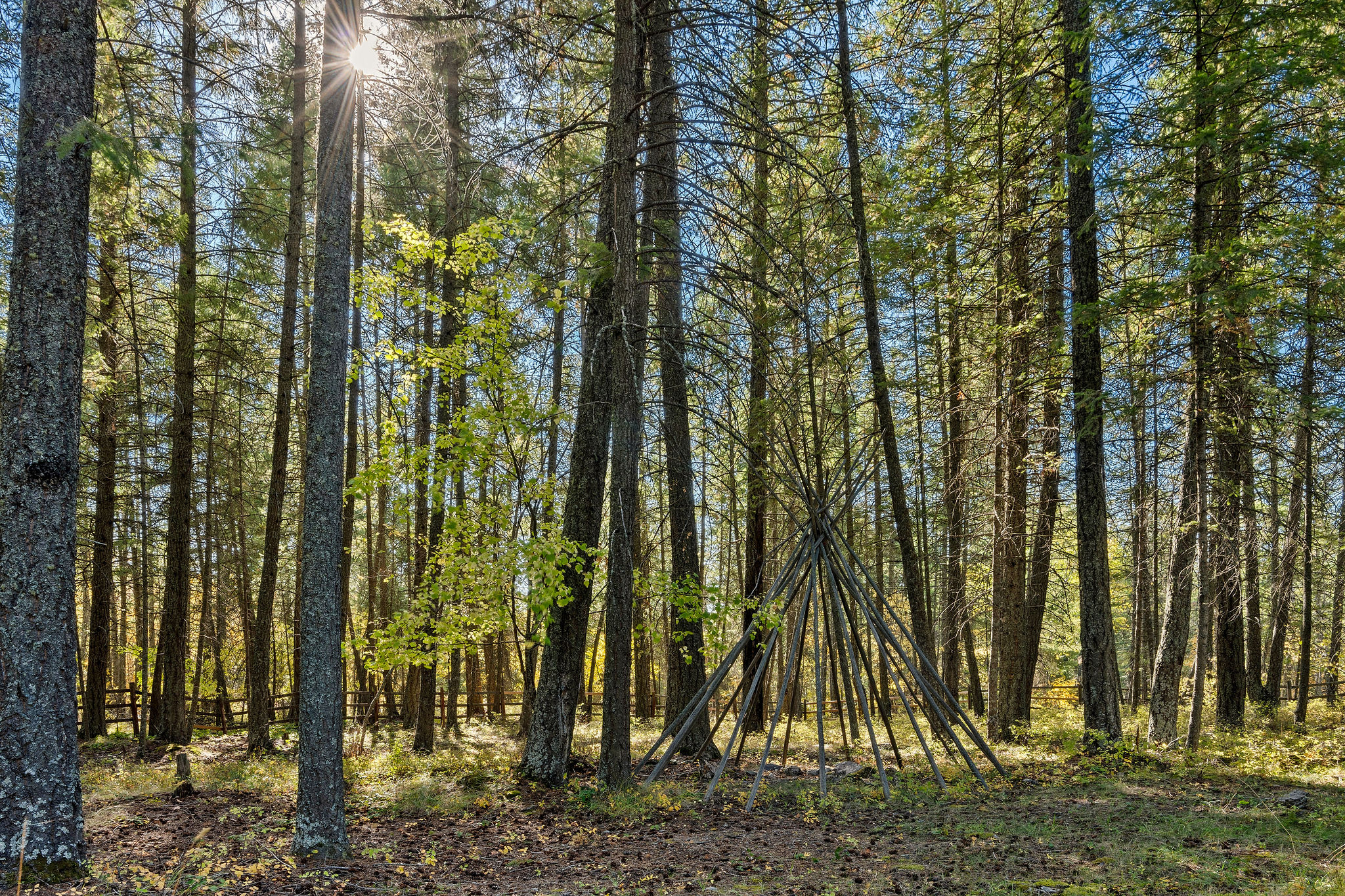 95 And 97 Browns Gulch Road Property Photo 77