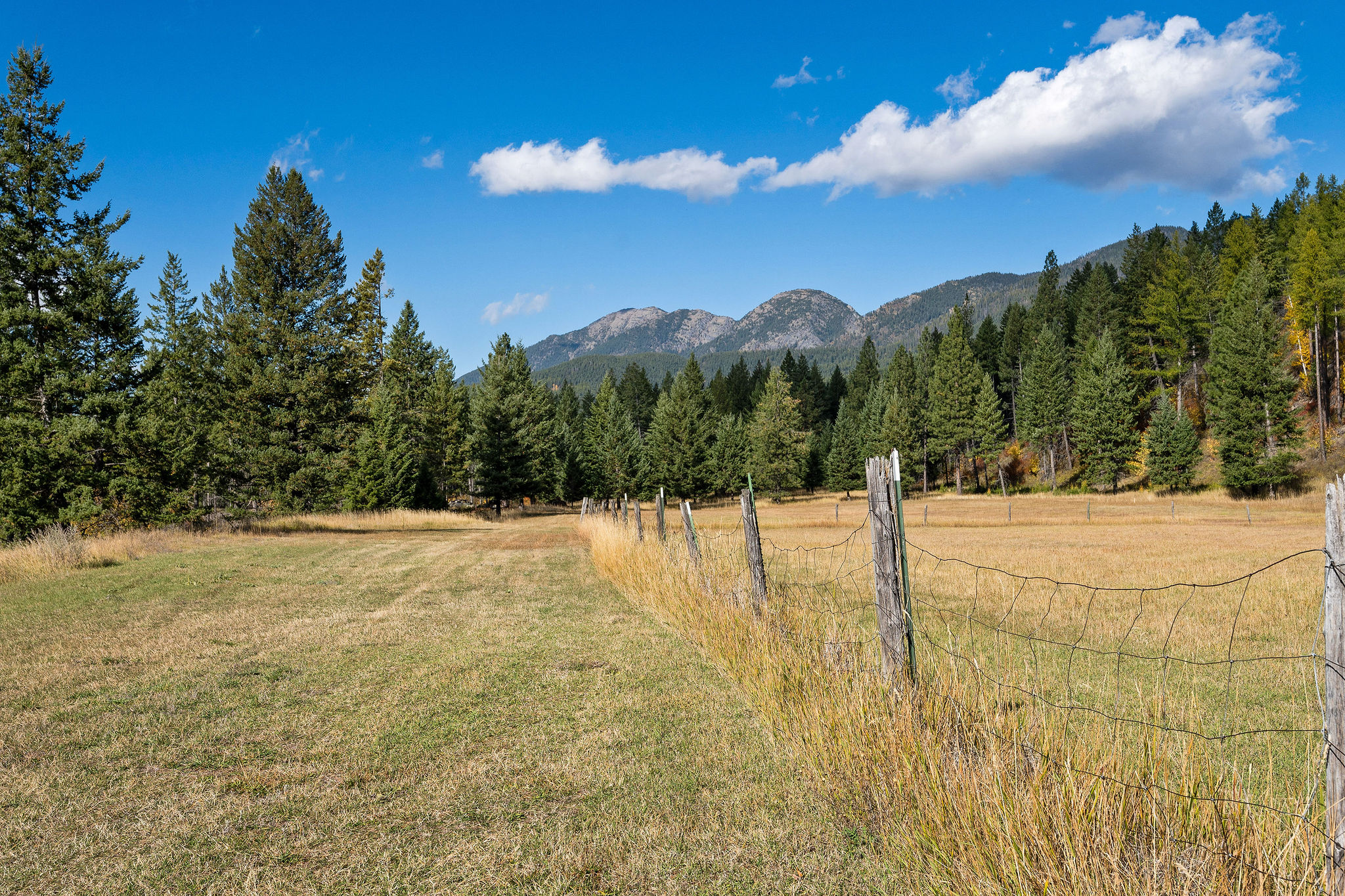 95 And 97 Browns Gulch Road Property Photo 83