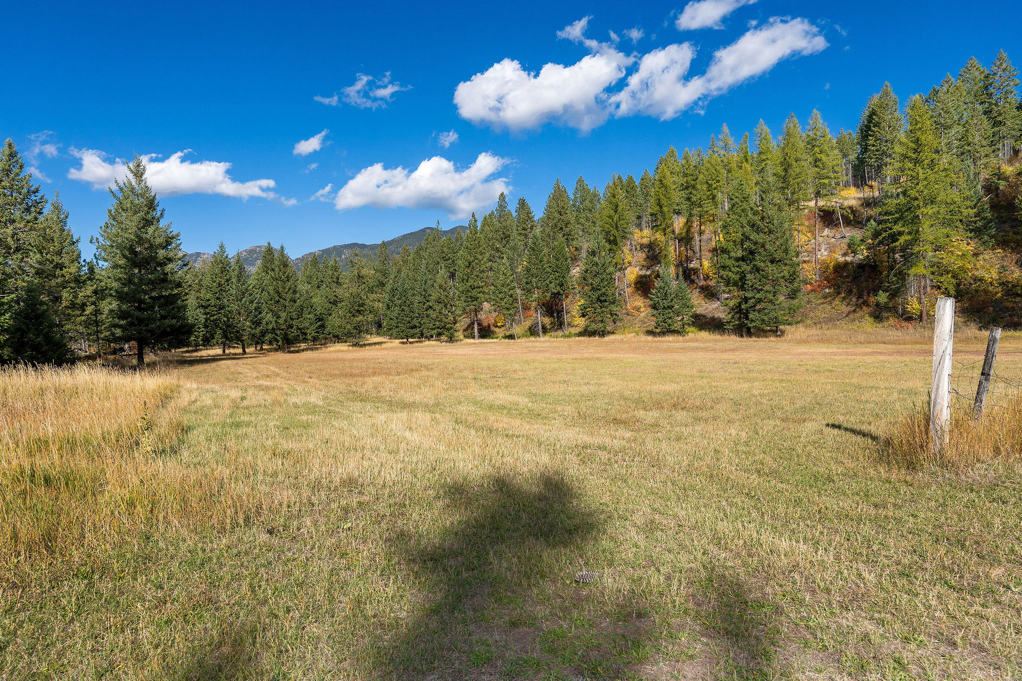 95 And 97 Browns Gulch Road Property Photo 85