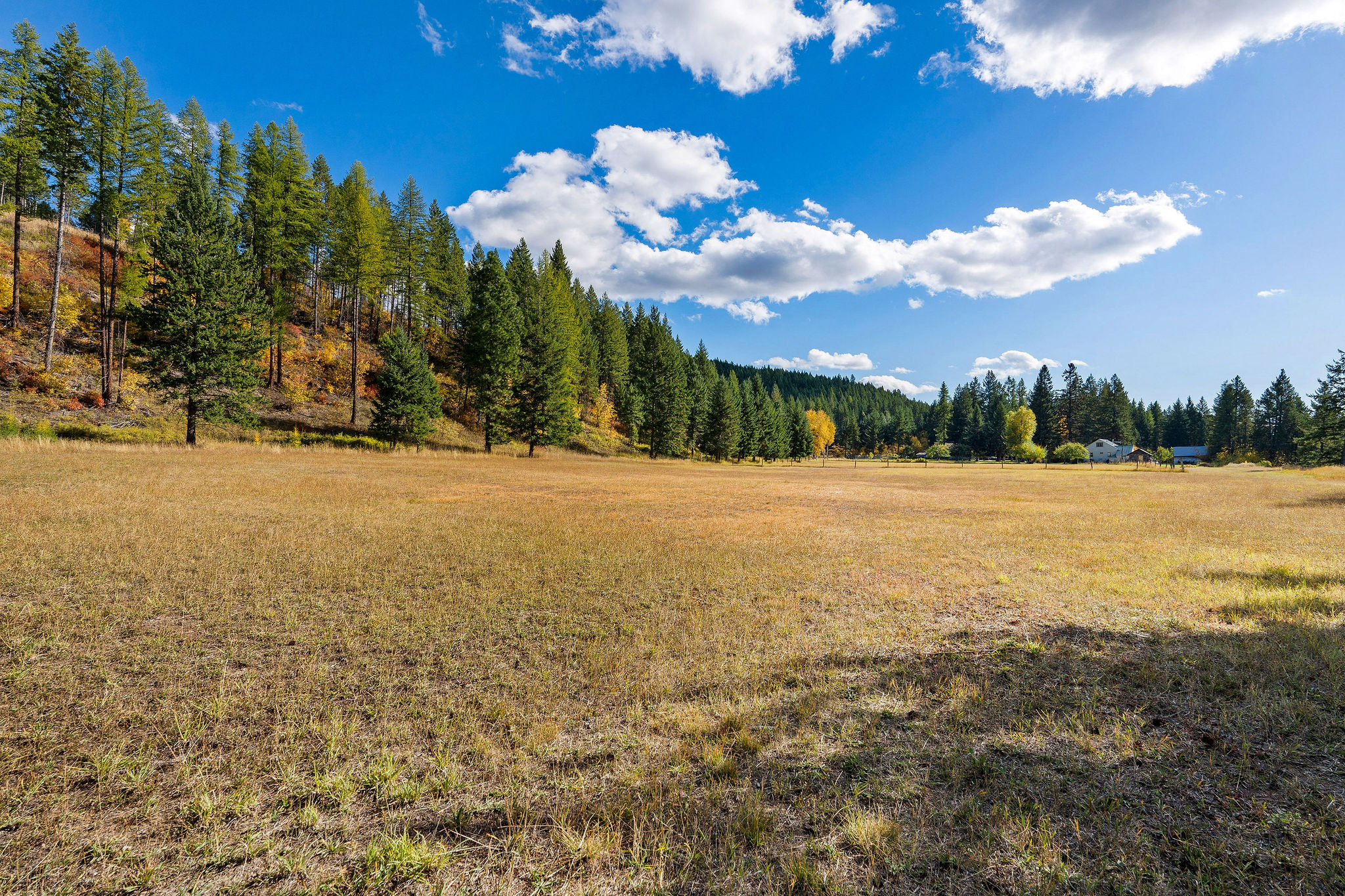 95 And 97 Browns Gulch Road Property Photo 86