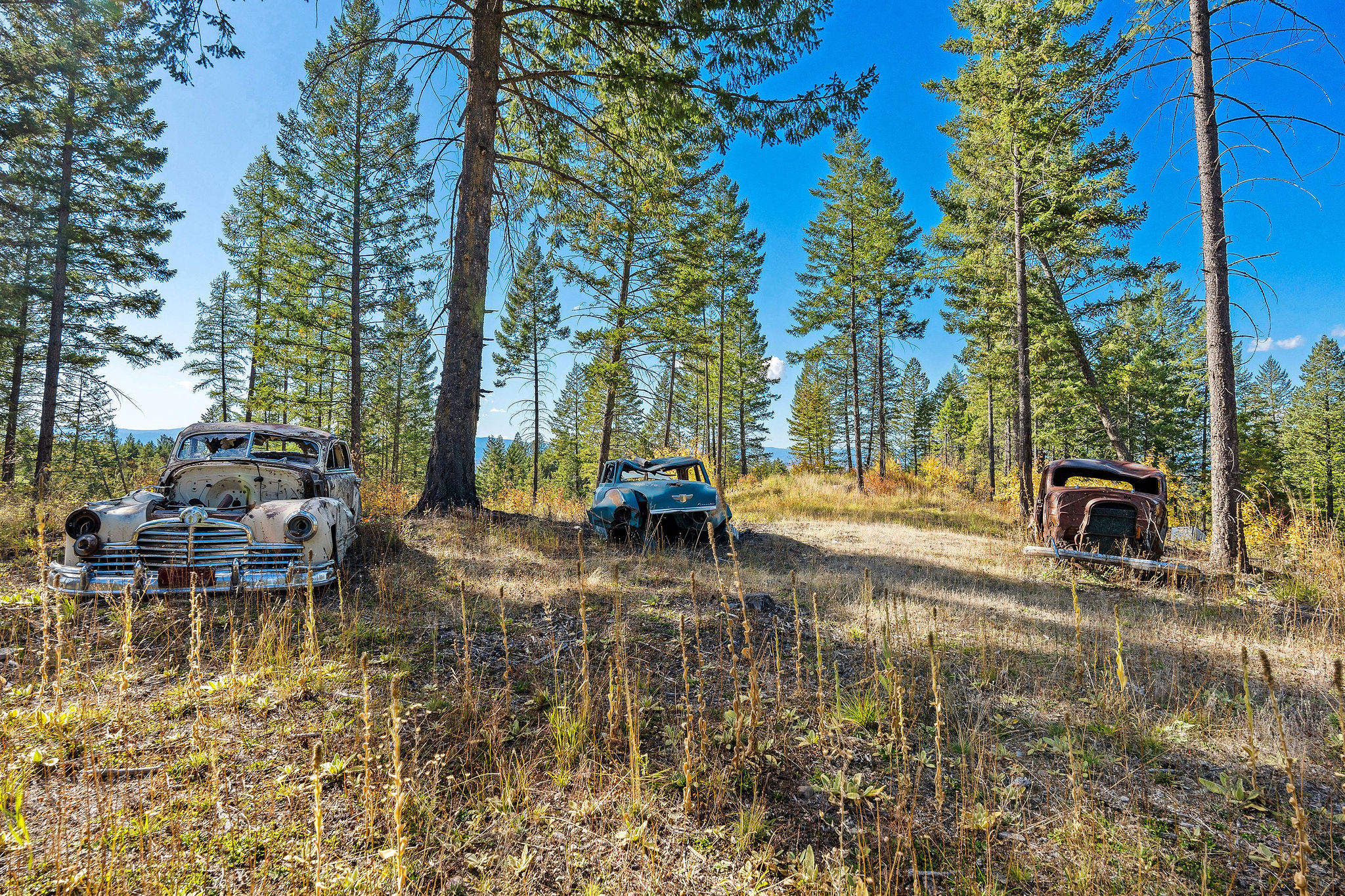 95 And 97 Browns Gulch Road Property Photo 87