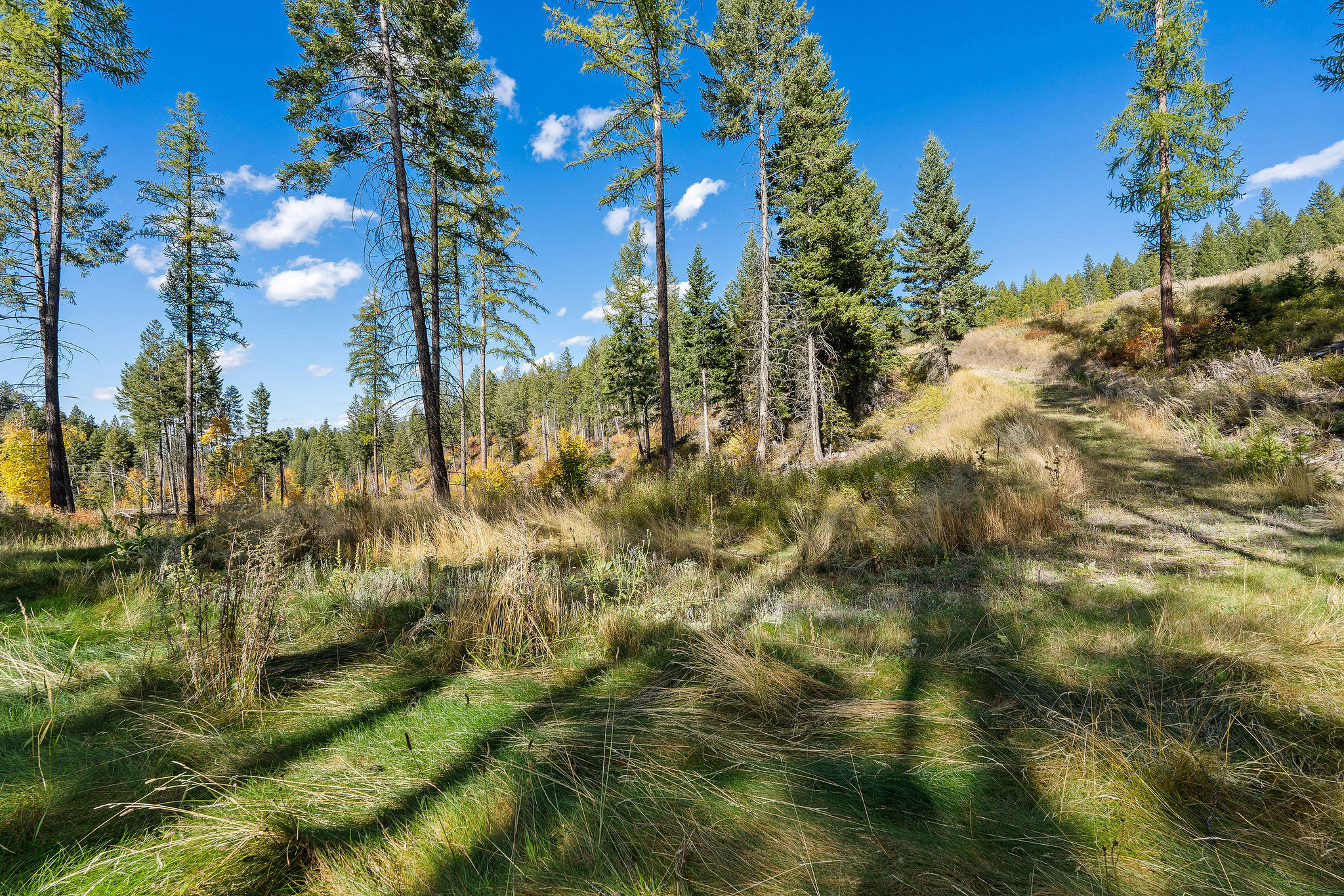 95 And 97 Browns Gulch Road Property Photo 90