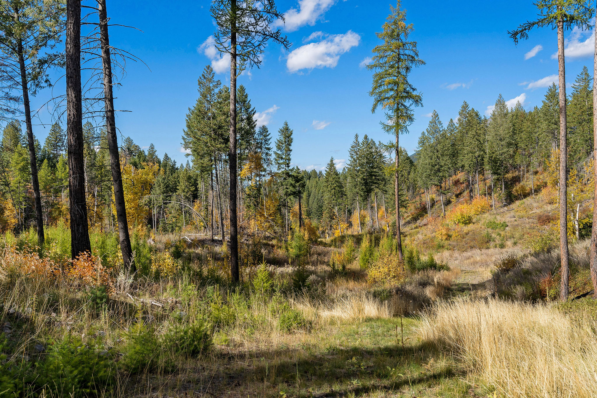 95 And 97 Browns Gulch Road Property Photo 91