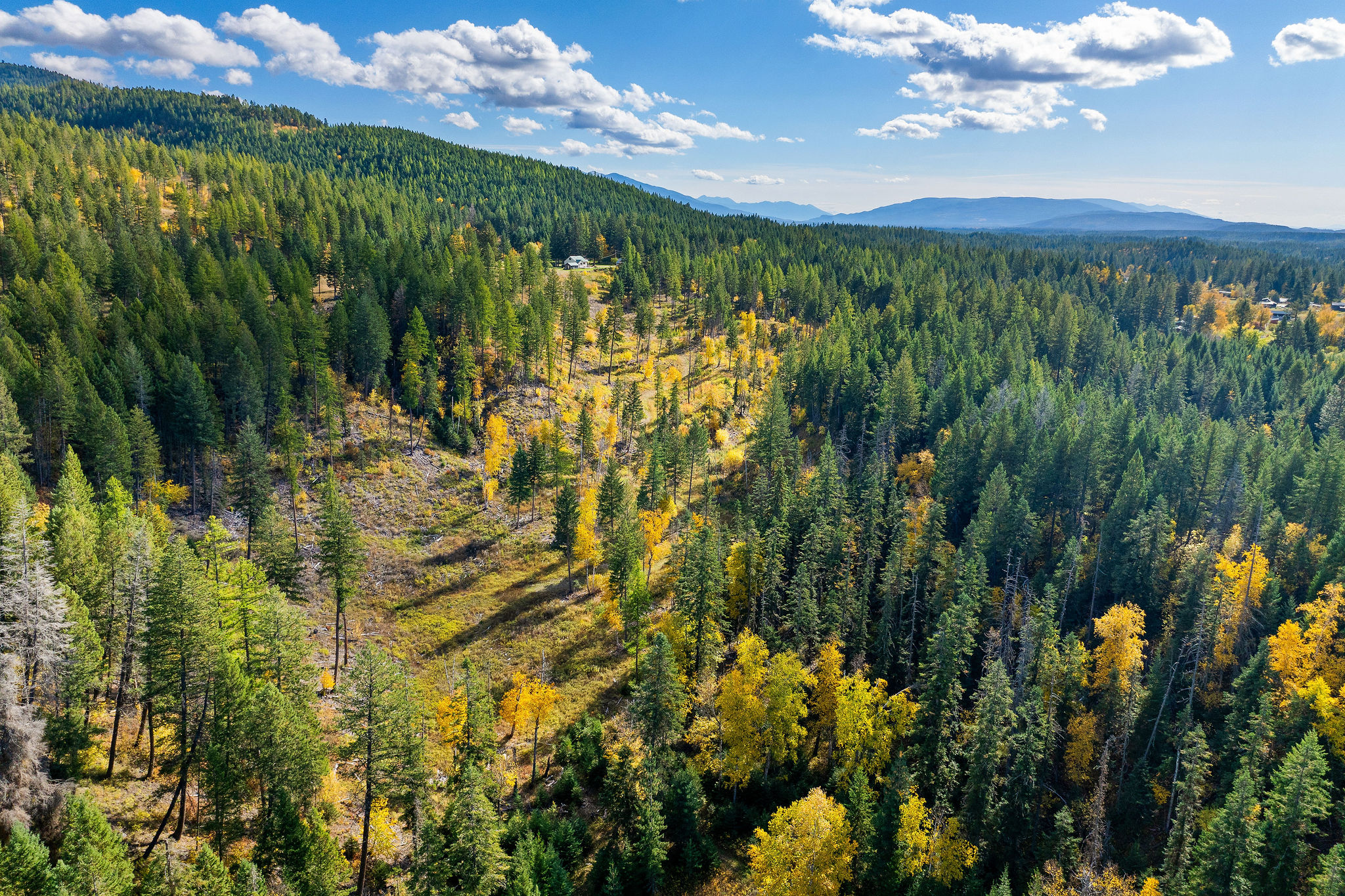 95 And 97 Browns Gulch Road Property Photo 92