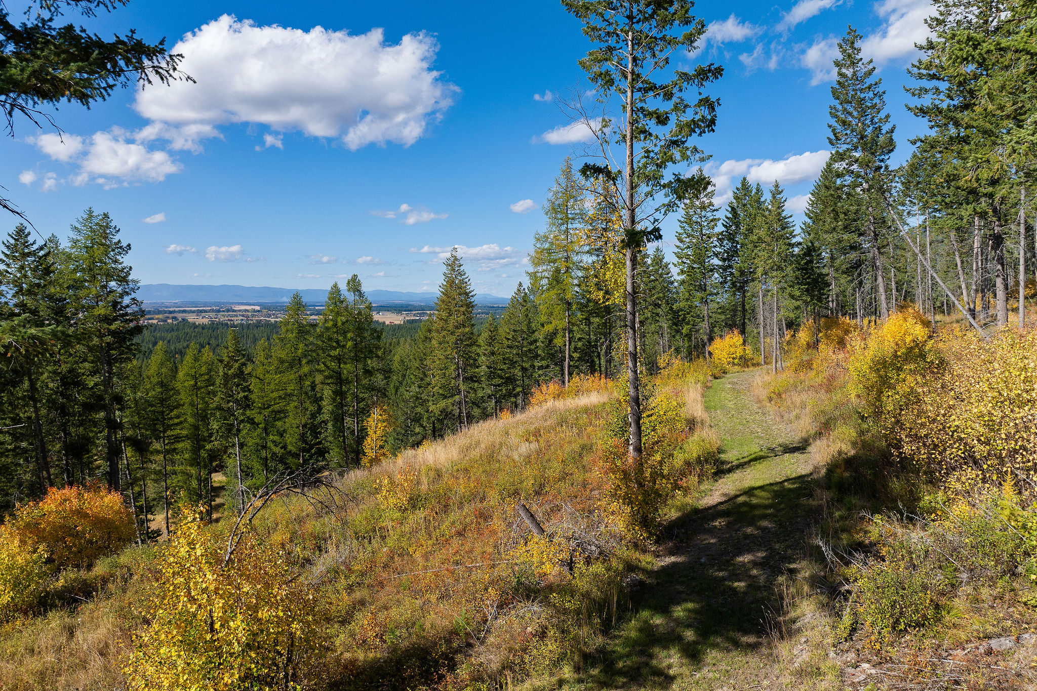 95 And 97 Browns Gulch Road Property Photo 93