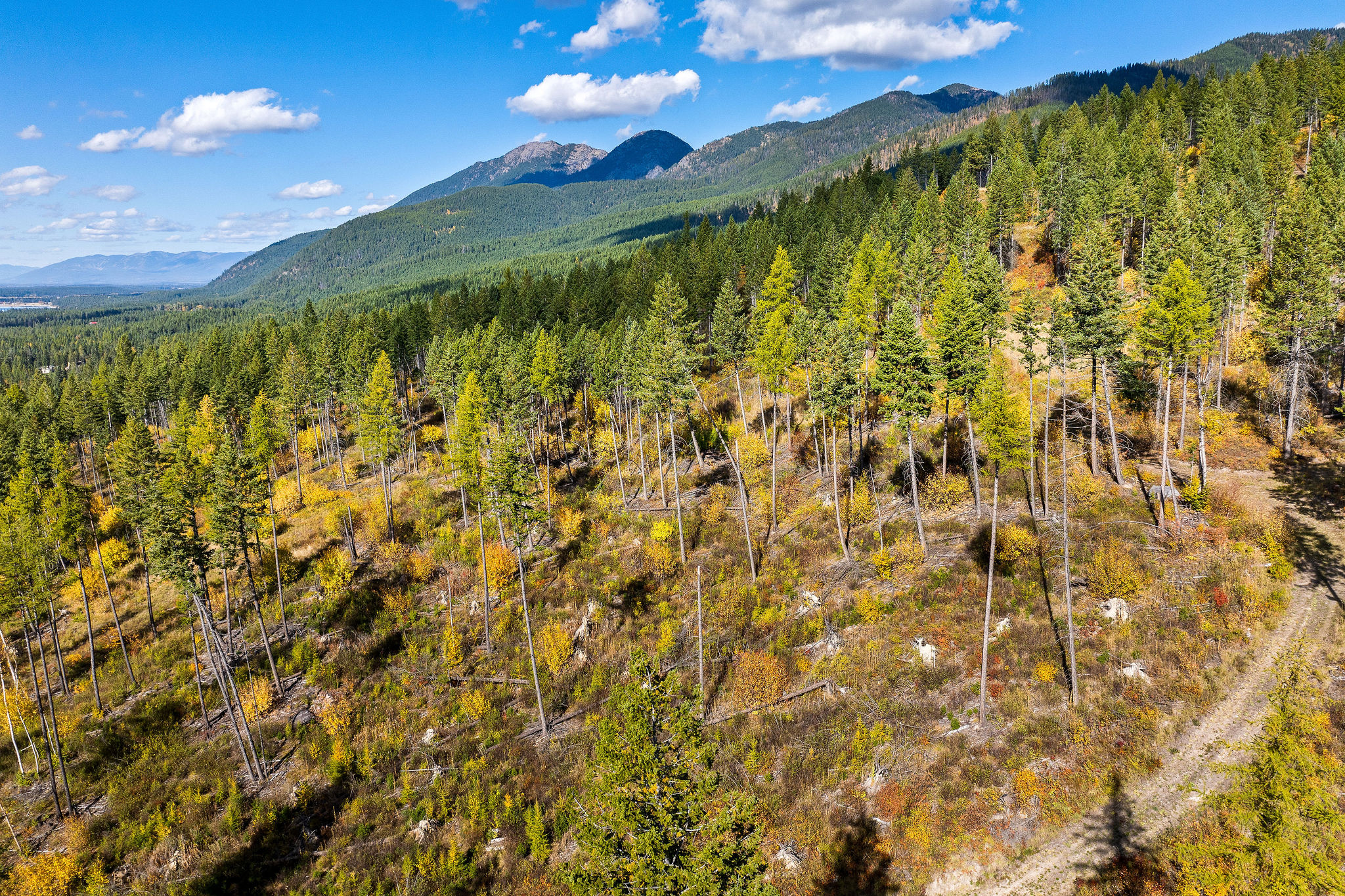 95 And 97 Browns Gulch Road Property Photo 94