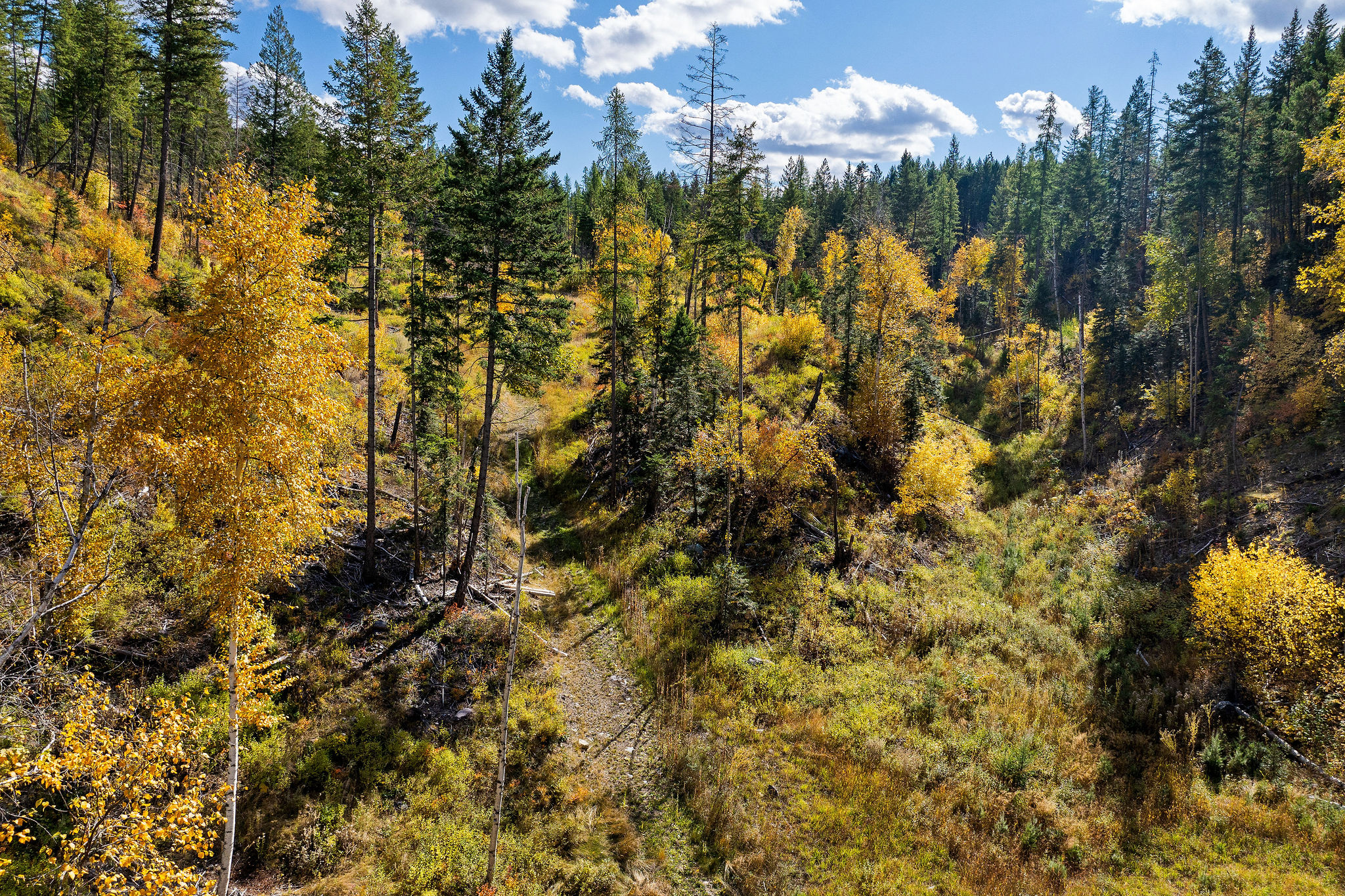 95 And 97 Browns Gulch Road Property Photo 95