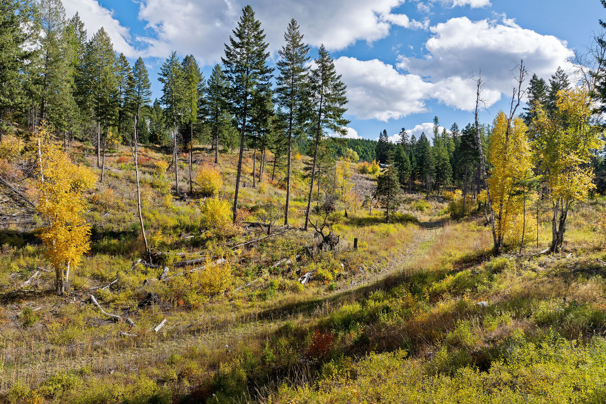 95 And 97 Browns Gulch Road Property Photo 96