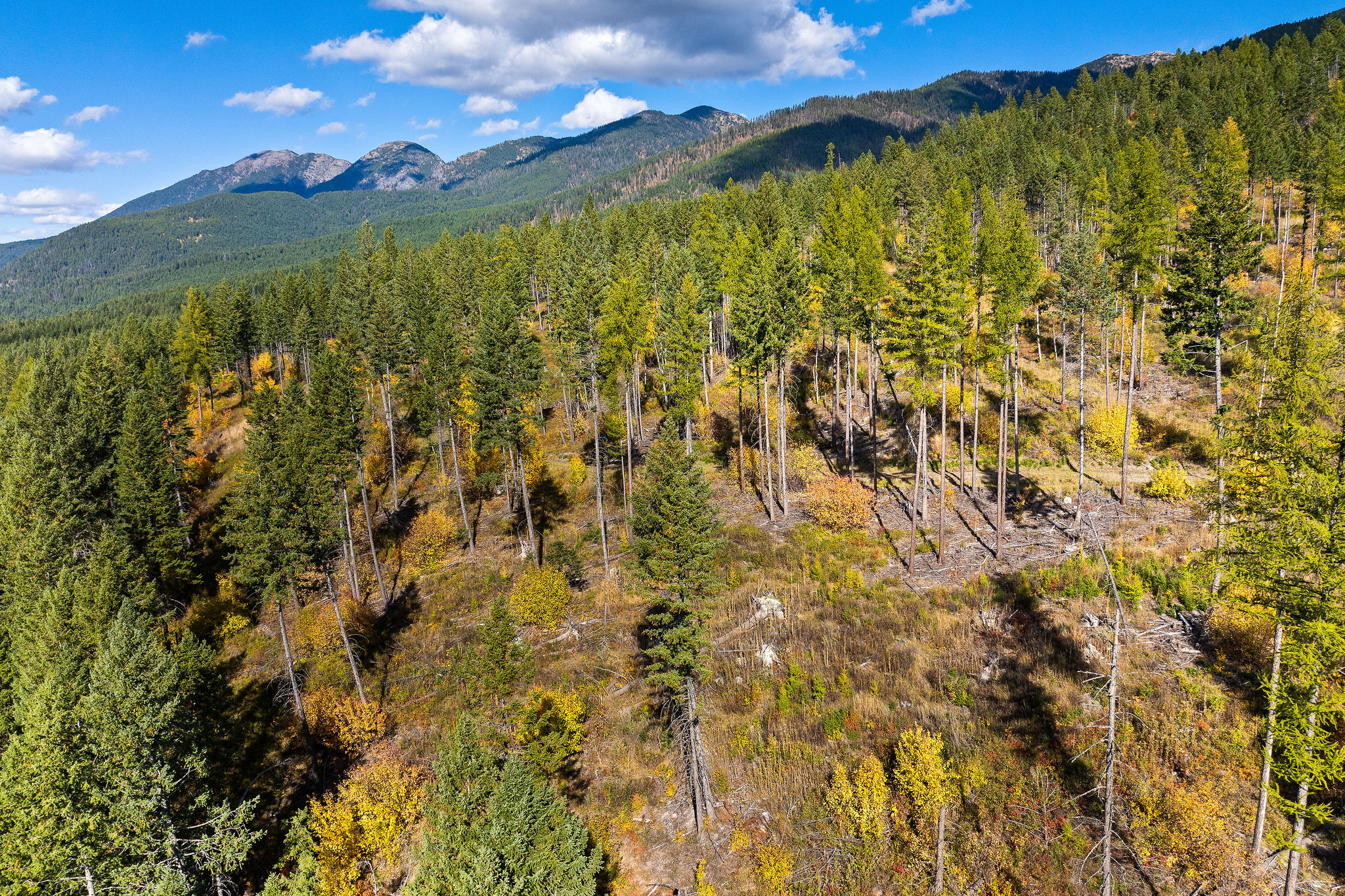 95 And 97 Browns Gulch Road Property Photo 97