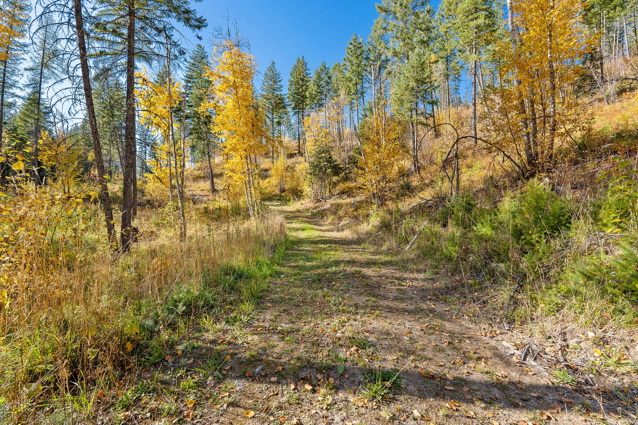 95 And 97 Browns Gulch Road Property Photo 98