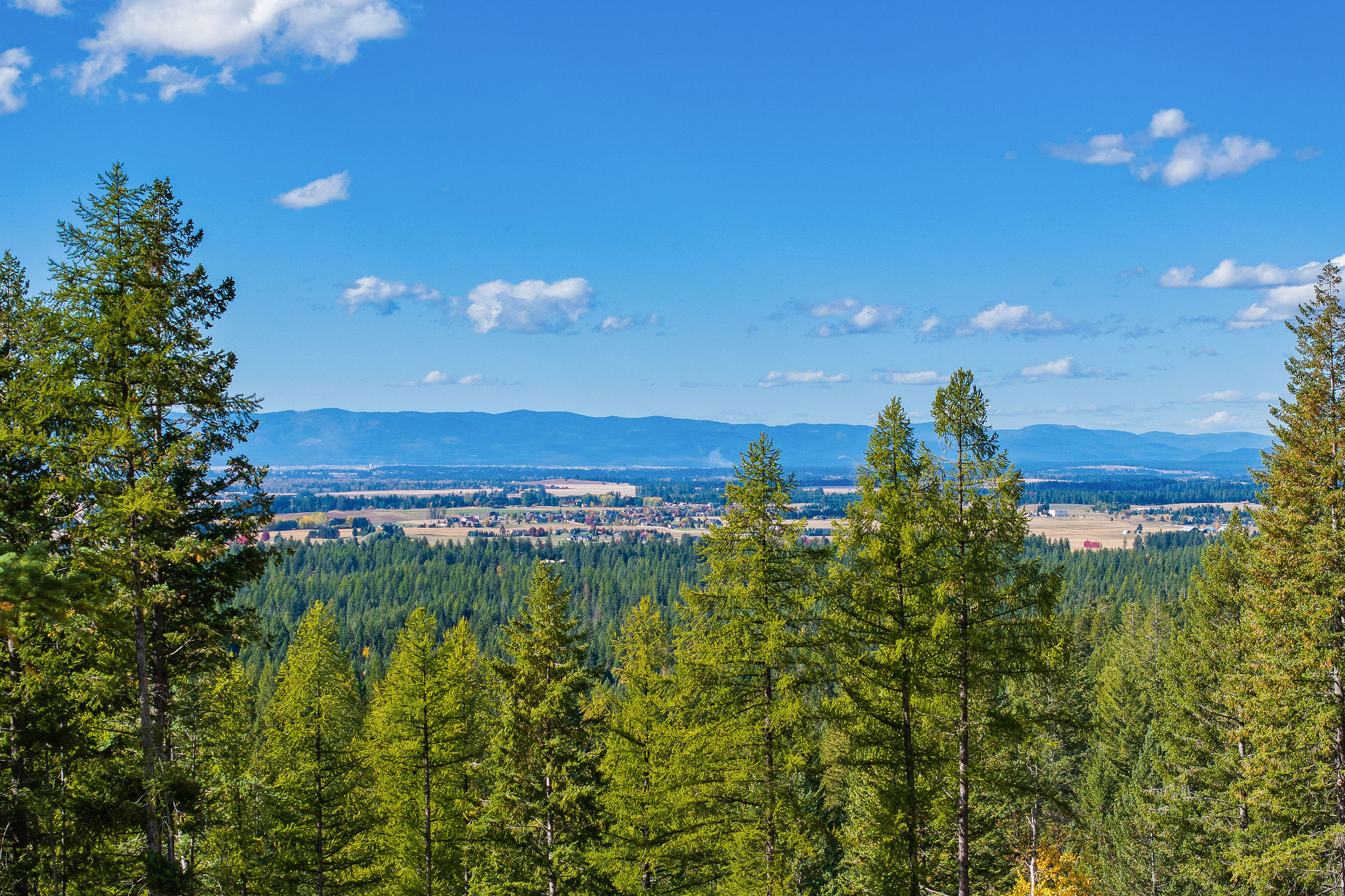 95 And 97 Browns Gulch Road Property Photo 102