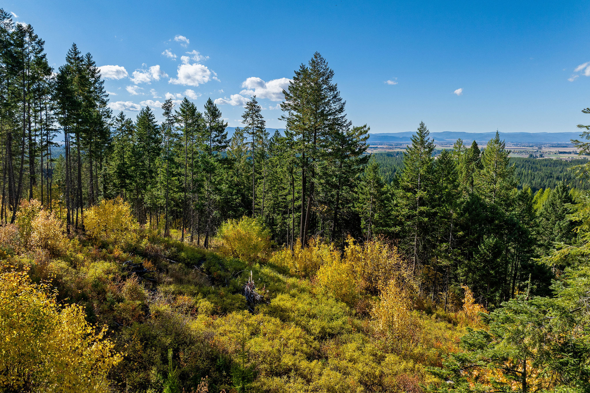 95 And 97 Browns Gulch Road Property Photo 103