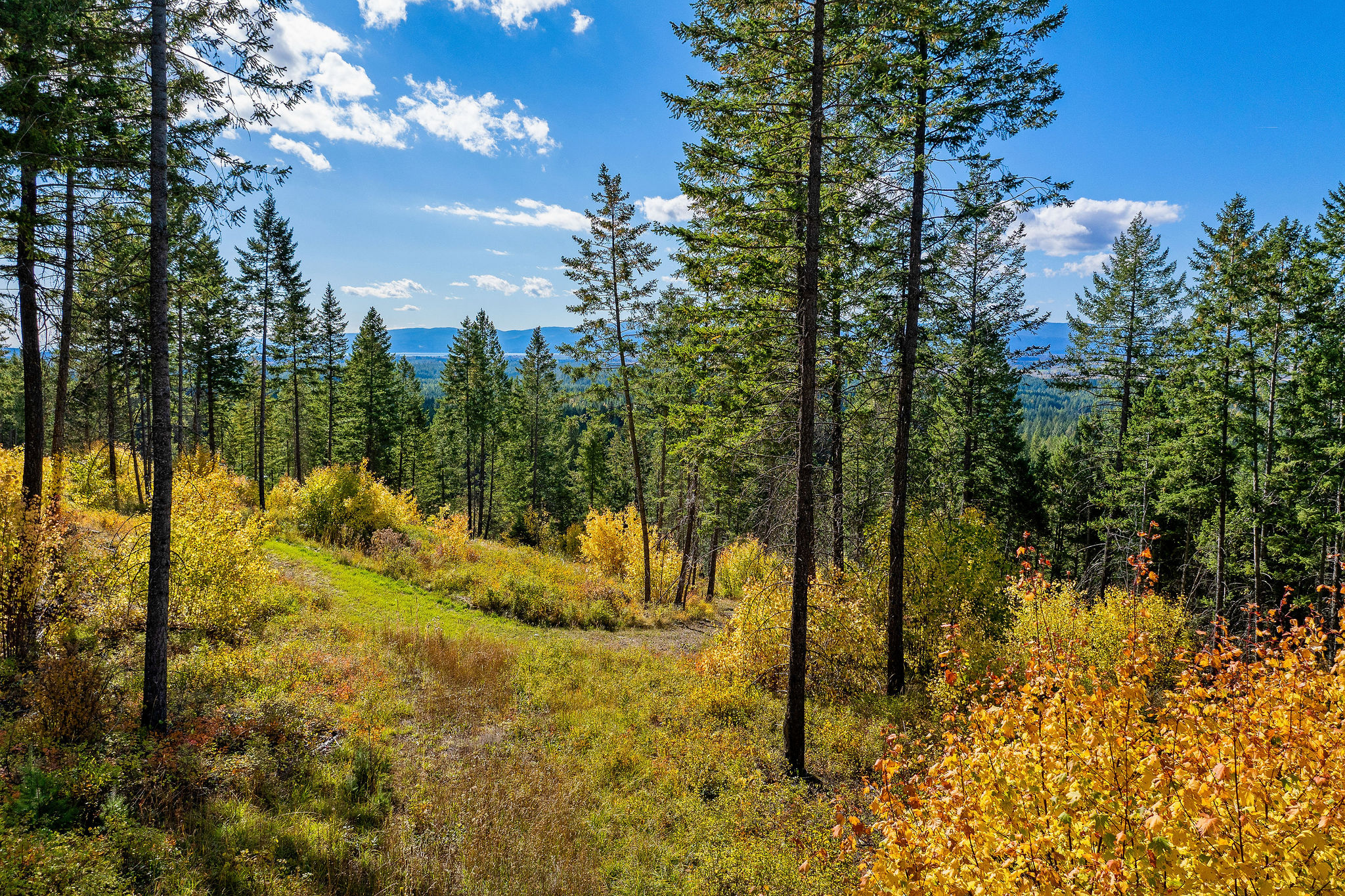 95 And 97 Browns Gulch Road Property Photo 104