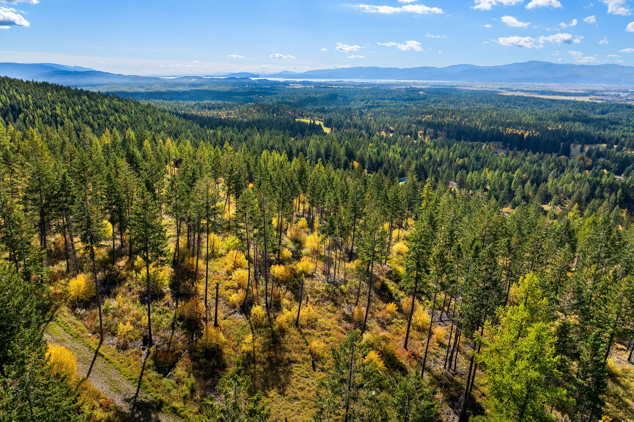 95 And 97 Browns Gulch Road Property Photo 105