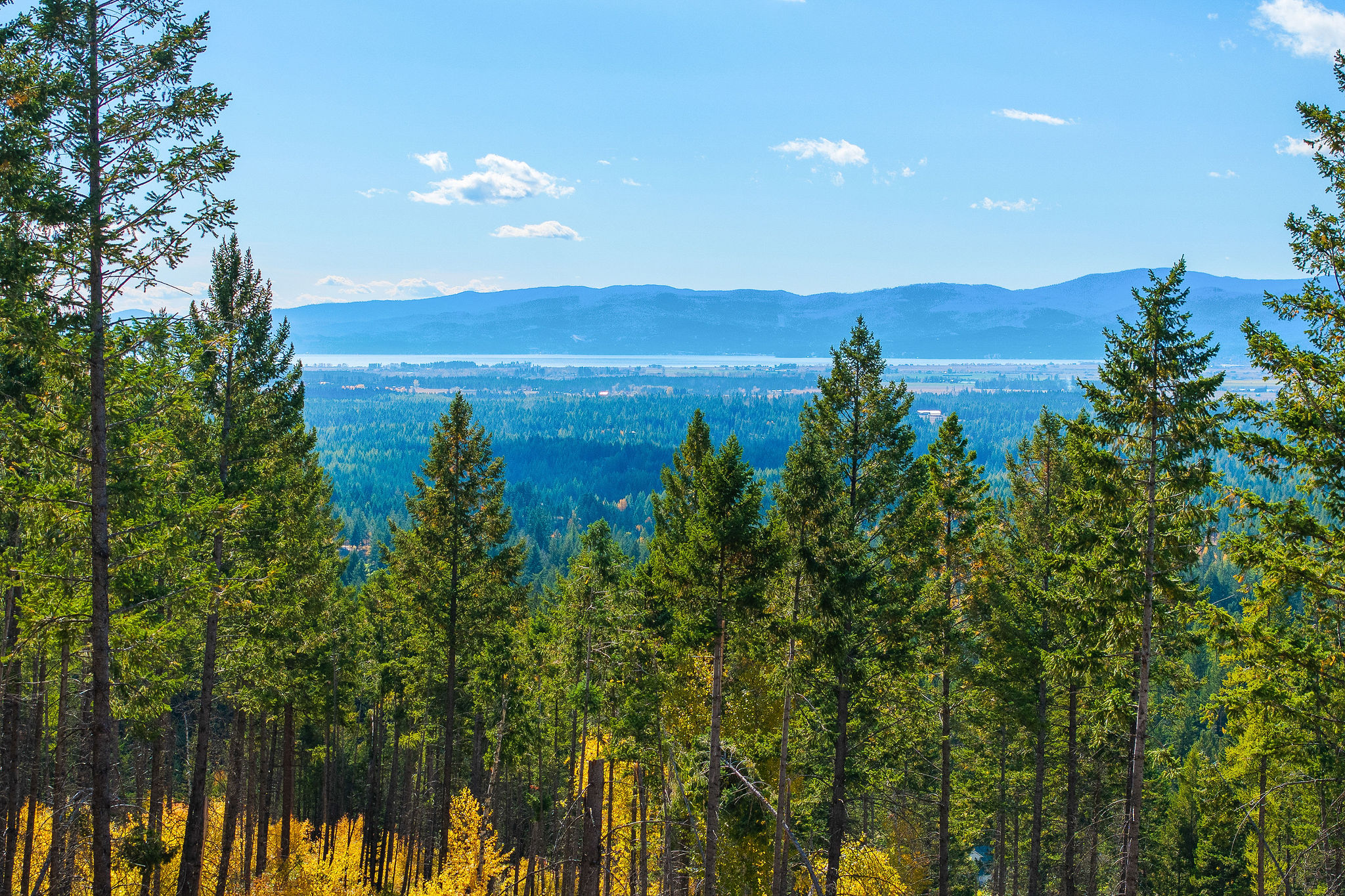 95 And 97 Browns Gulch Road Property Photo 106