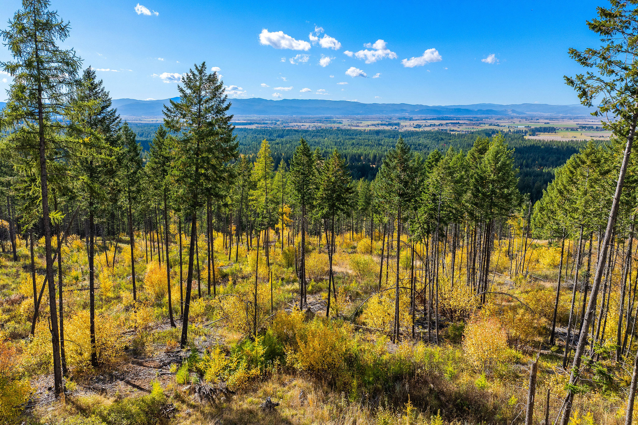 95 And 97 Browns Gulch Road Property Photo 107