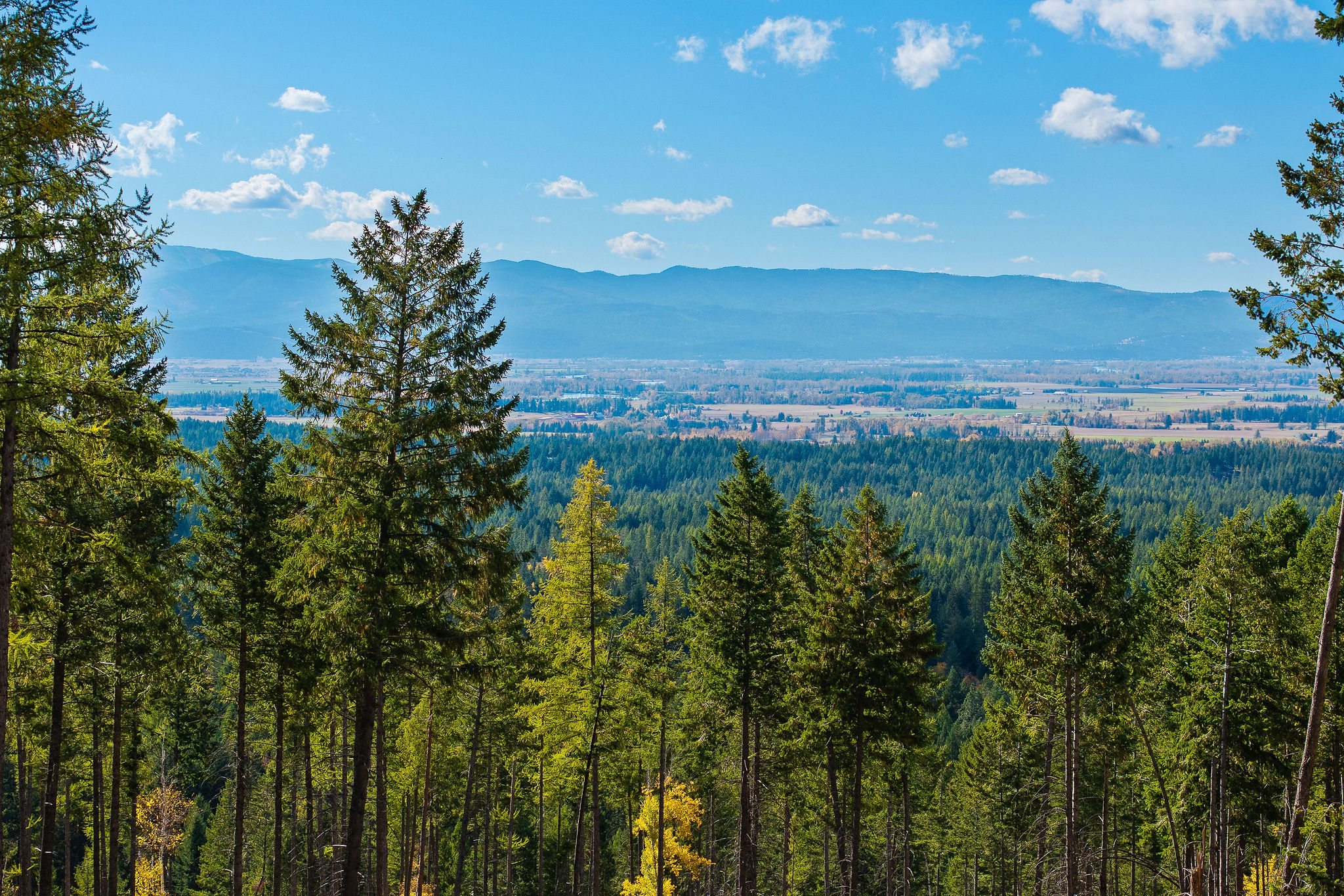 95 And 97 Browns Gulch Road Property Photo 109