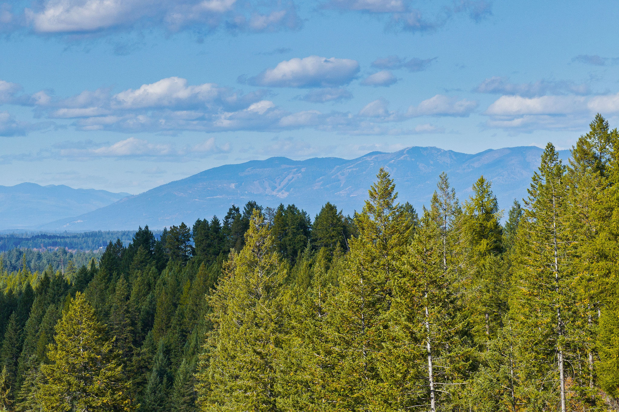 95 And 97 Browns Gulch Road Property Photo 111