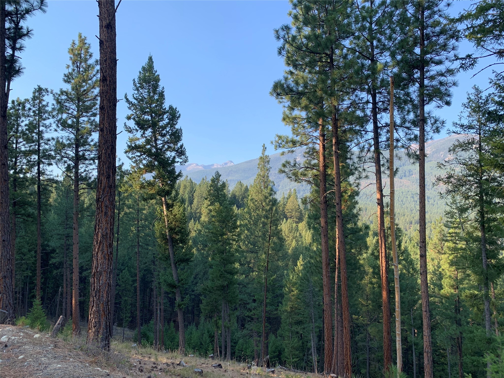 406 Chief Joseph Trail Property Photo 14
