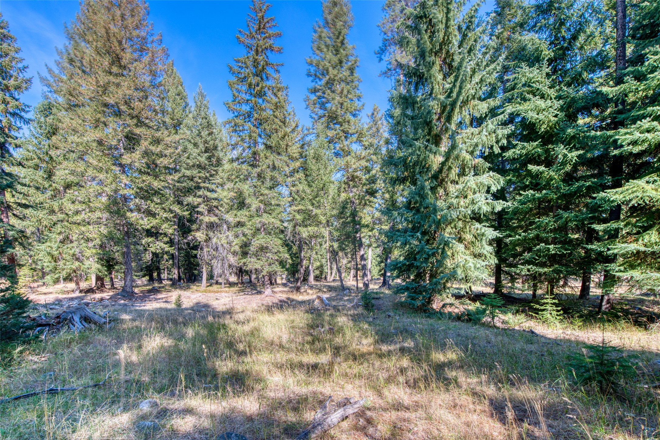 406 Chief Joseph Trail Property Photo 15