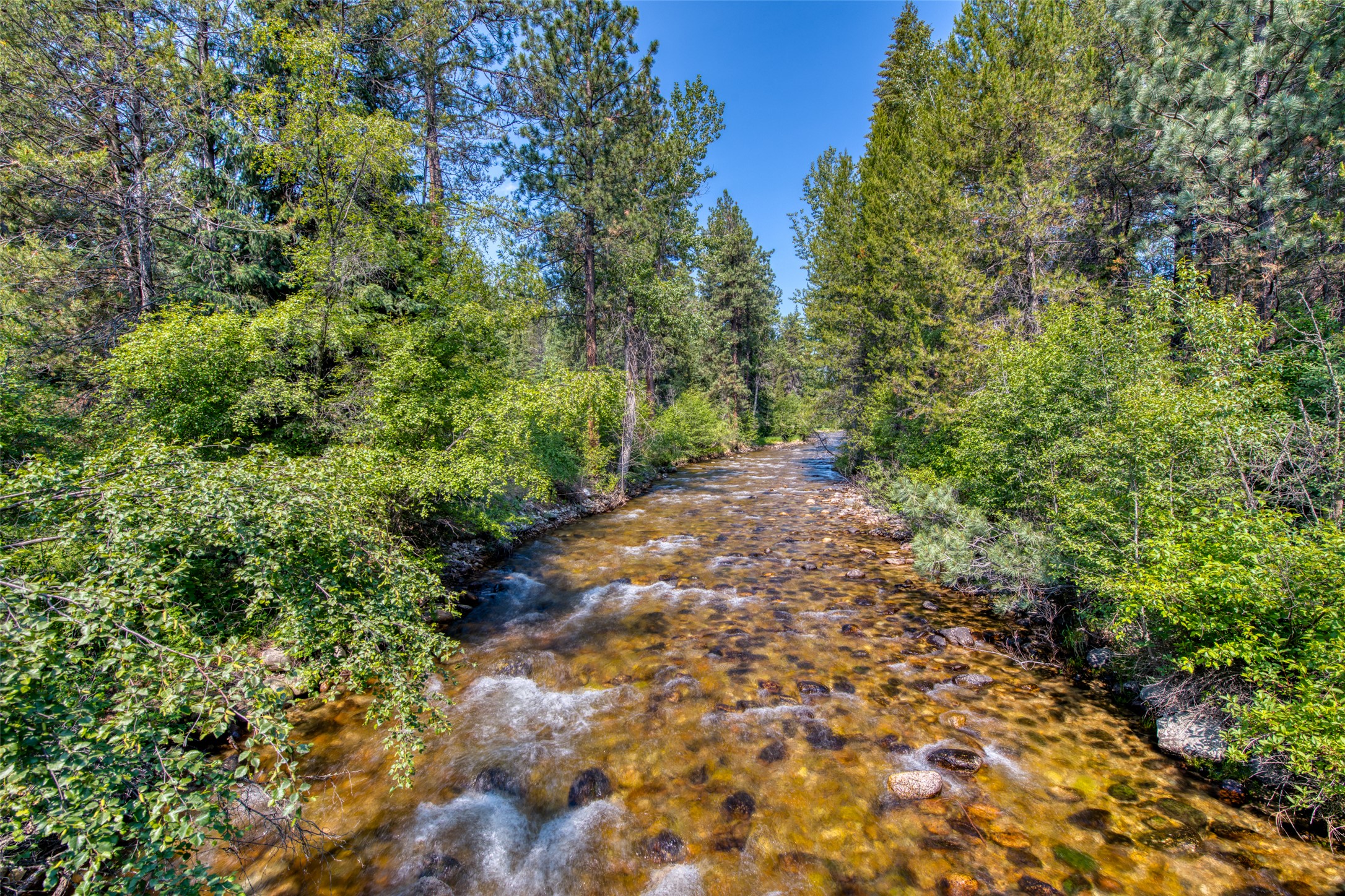 406 Chief Joseph Trail Property Photo 28