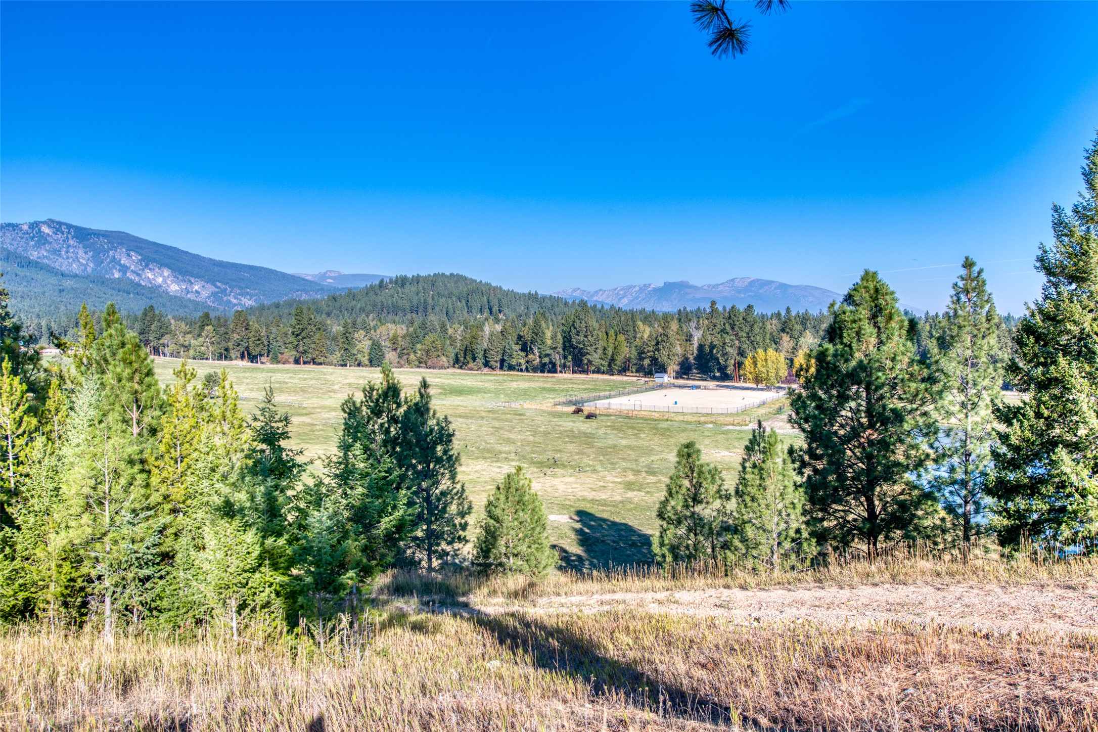 406 Chief Joseph Trail Property Photo 157