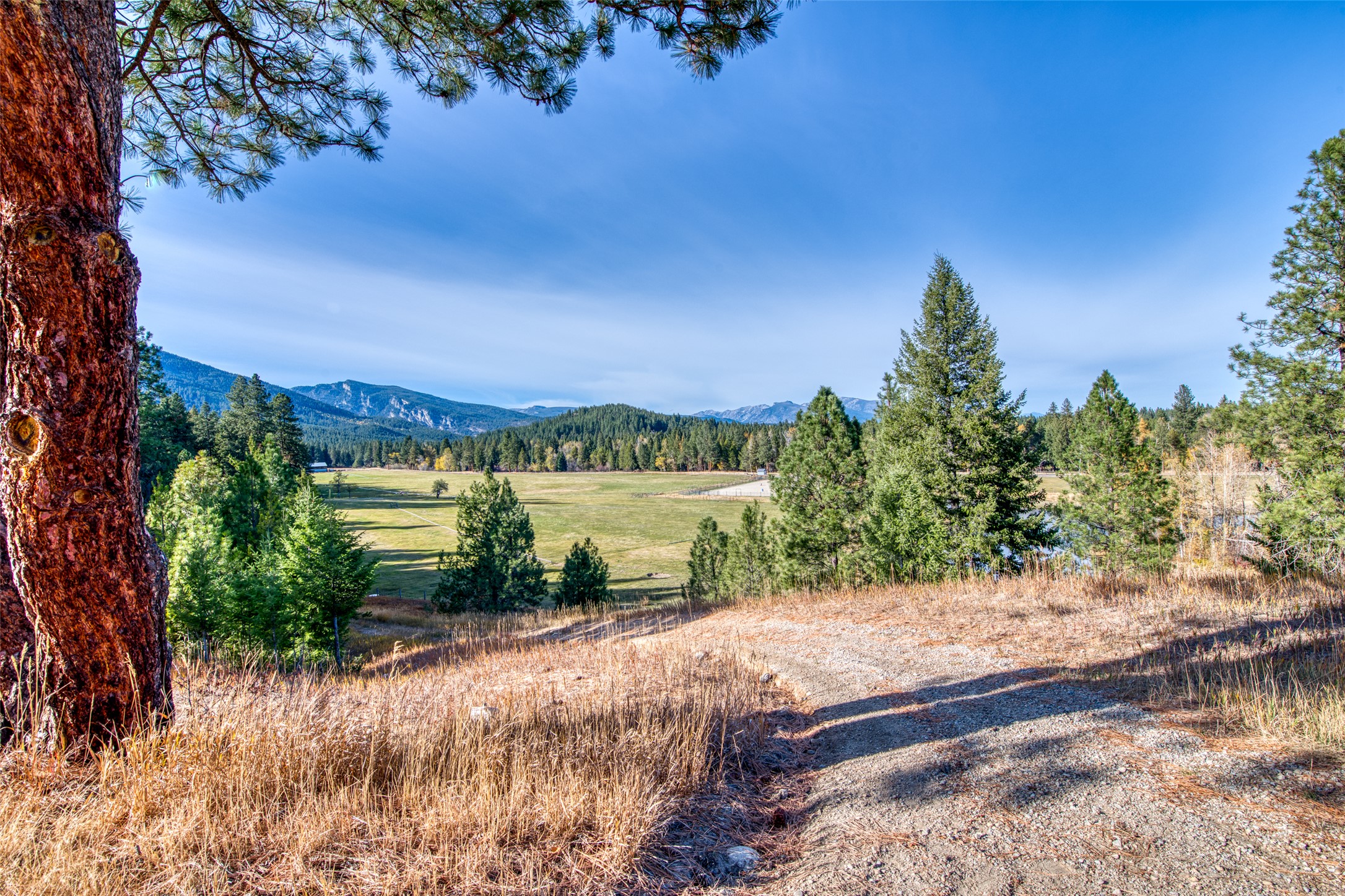 406 Chief Joseph Trail Property Photo 166