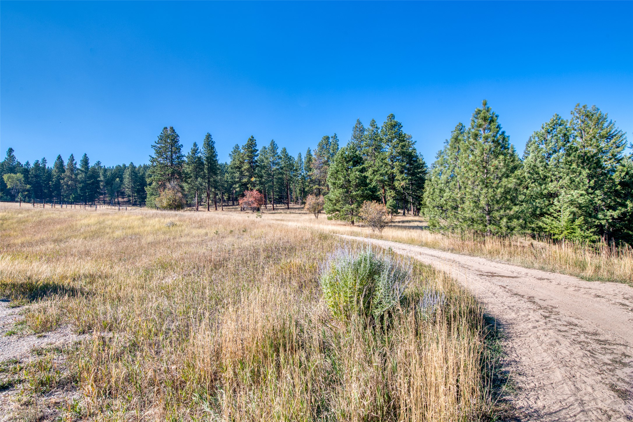 406 Chief Joseph Trail Property Photo 177