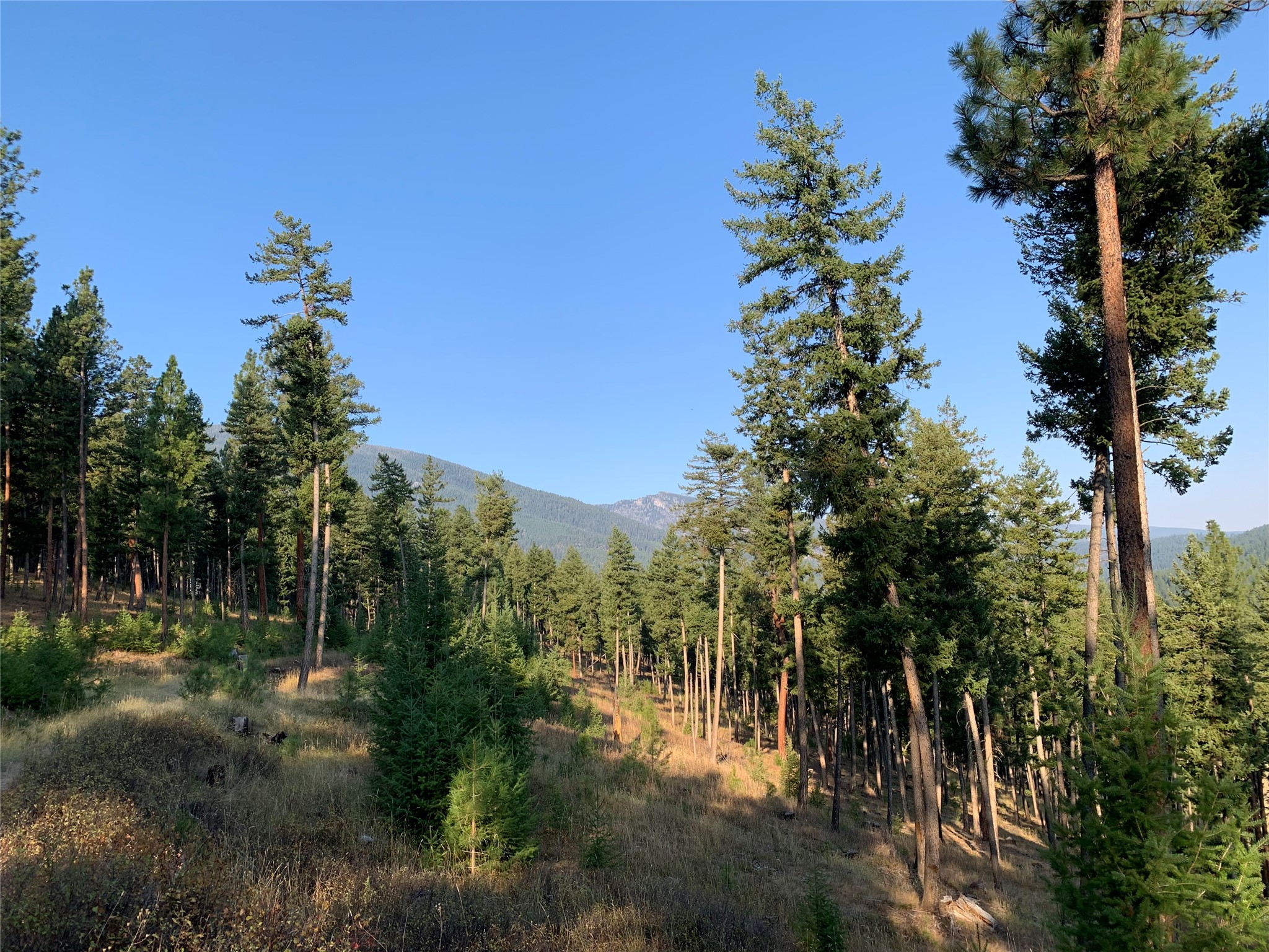406 Chief Joseph Trail Property Photo 184