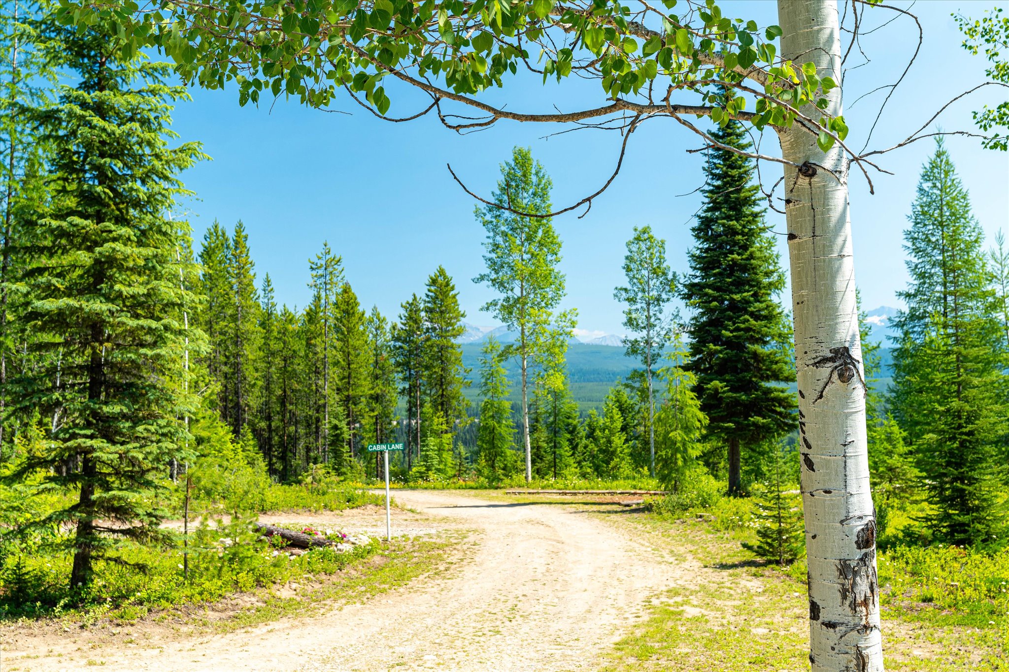 9670 North Fork Road Property Photo 79