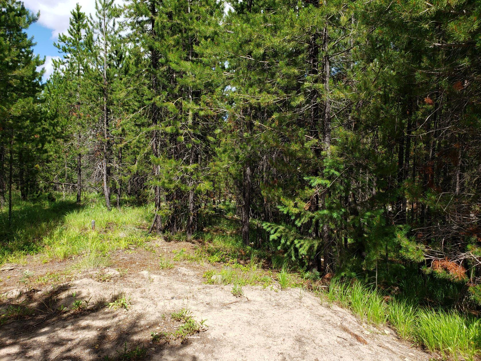 94 Owens Way Property Photo 13