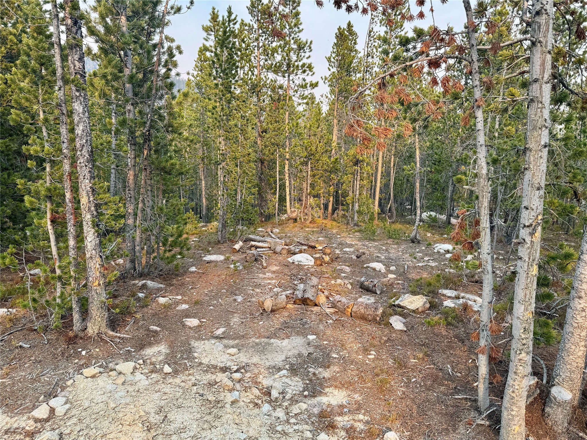 Nhn Lower Clear Creek Trail 66a Property Photo 33
