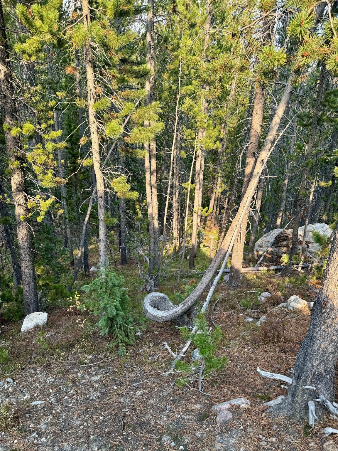 Nhn Lower Clear Creek Trail 66a Property Photo 44