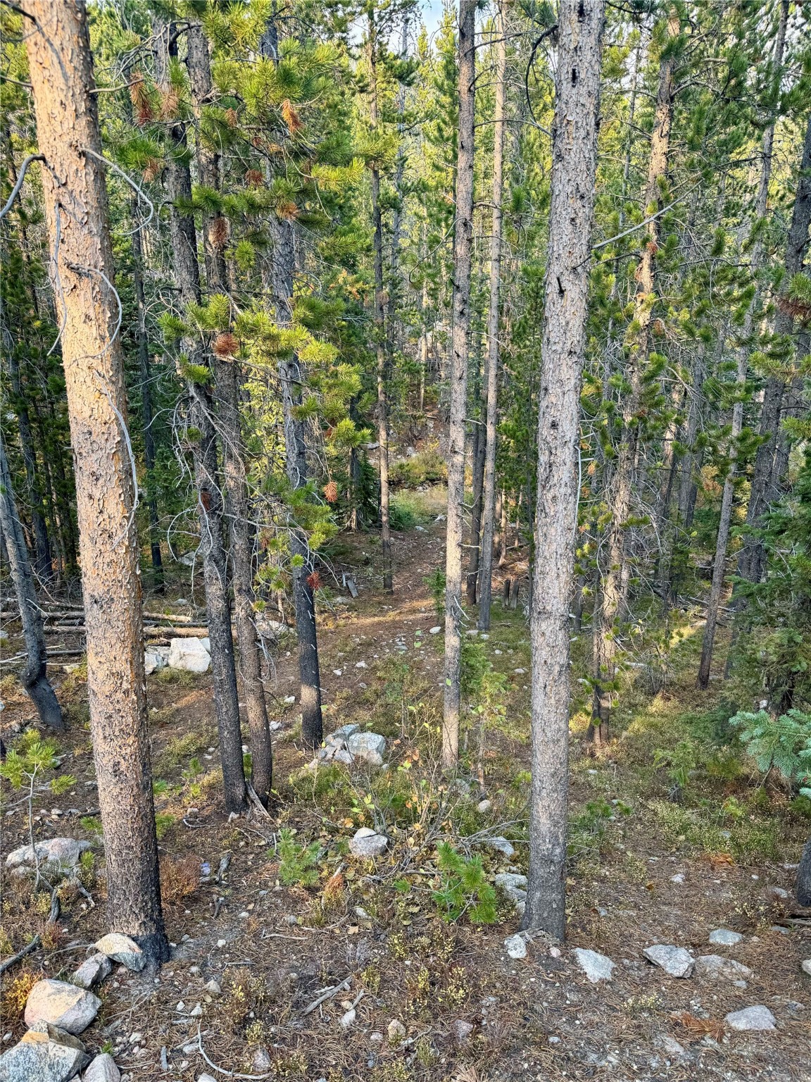 Nhn Lower Clear Creek Trail 66a Property Photo 45