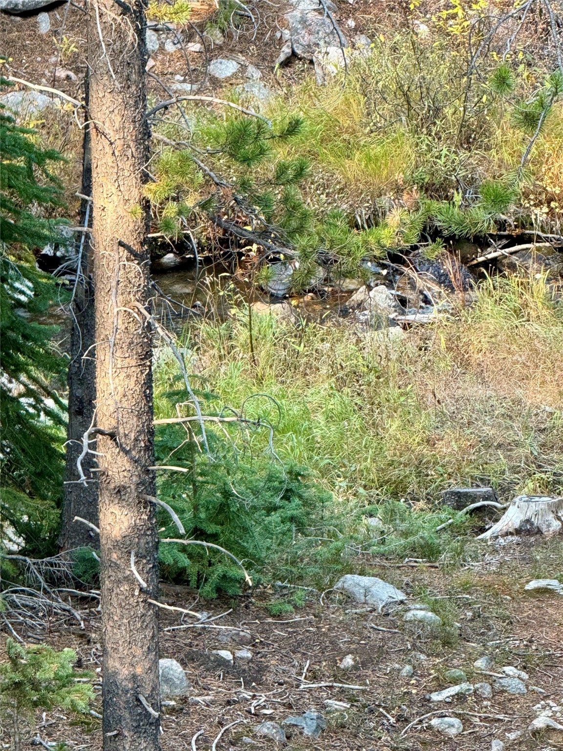 Nhn Lower Clear Creek Trail 66a Property Photo 46