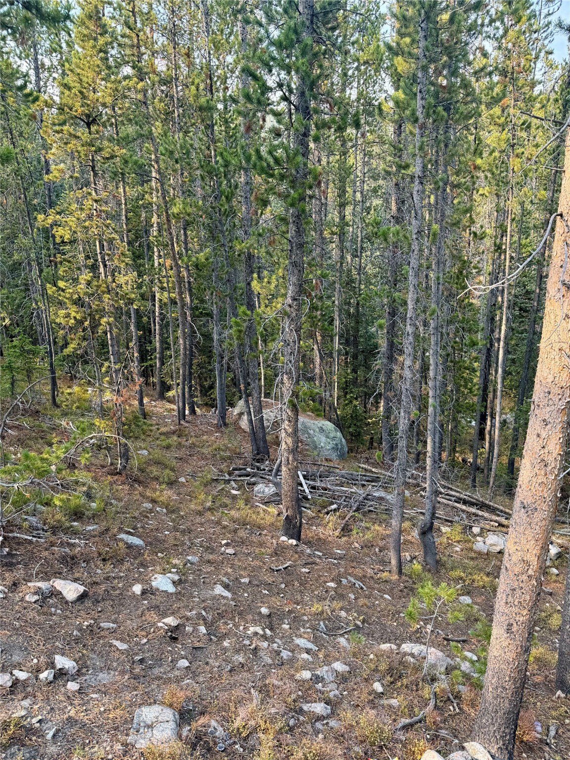 Nhn Lower Clear Creek Trail 66a Property Photo 48
