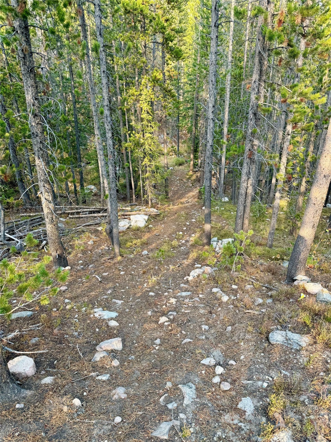 Nhn Lower Clear Creek Trail 66a Property Photo 49