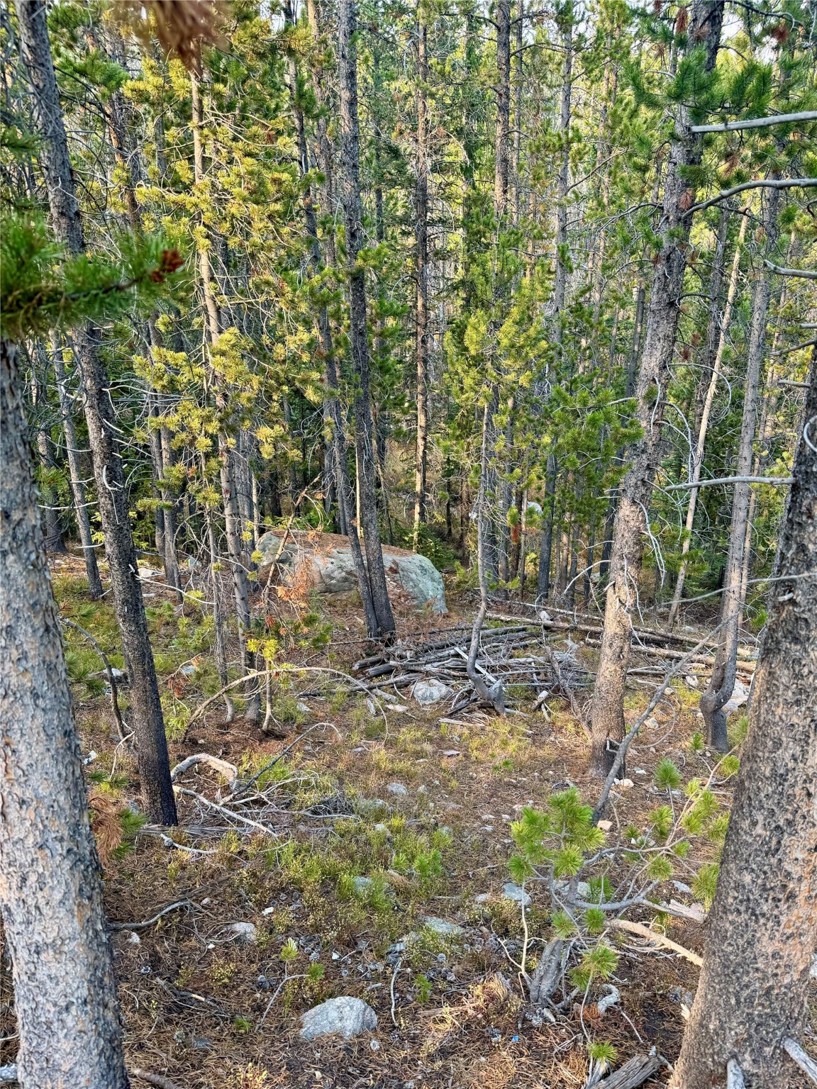 Nhn Lower Clear Creek Trail 66a Property Photo 50