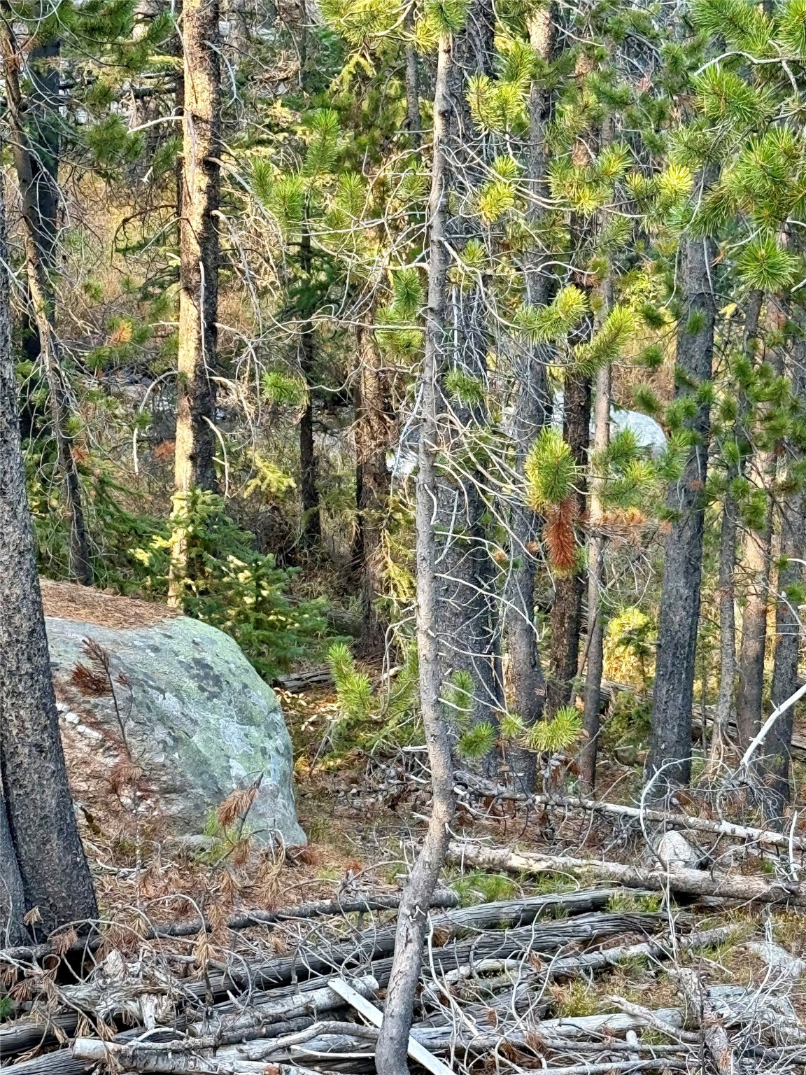 Nhn Lower Clear Creek Trail 66a Property Photo 51