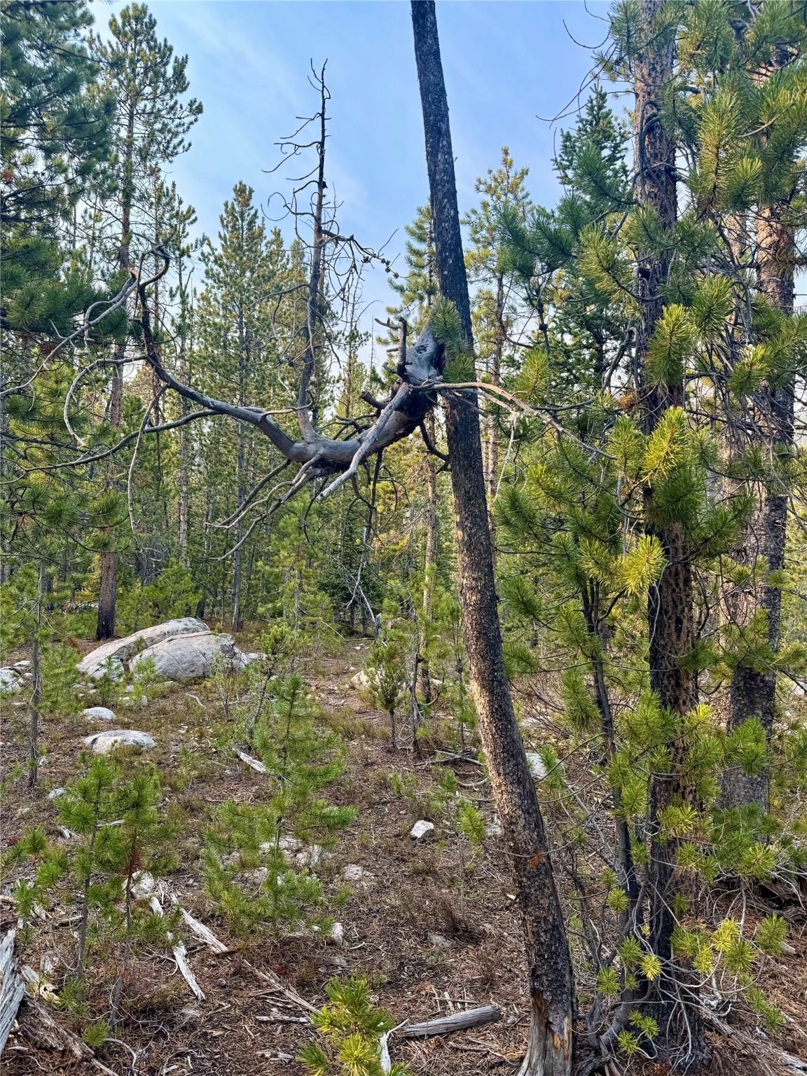 Nhn Lower Clear Creek Trail 66a Property Photo 64