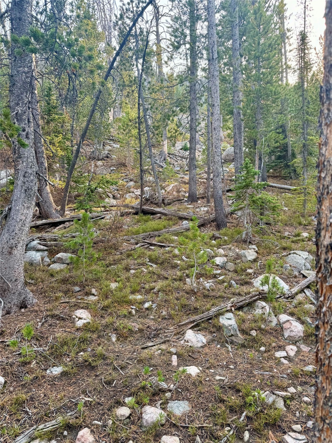 Nhn Lower Clear Creek Trail 66a Property Photo 66