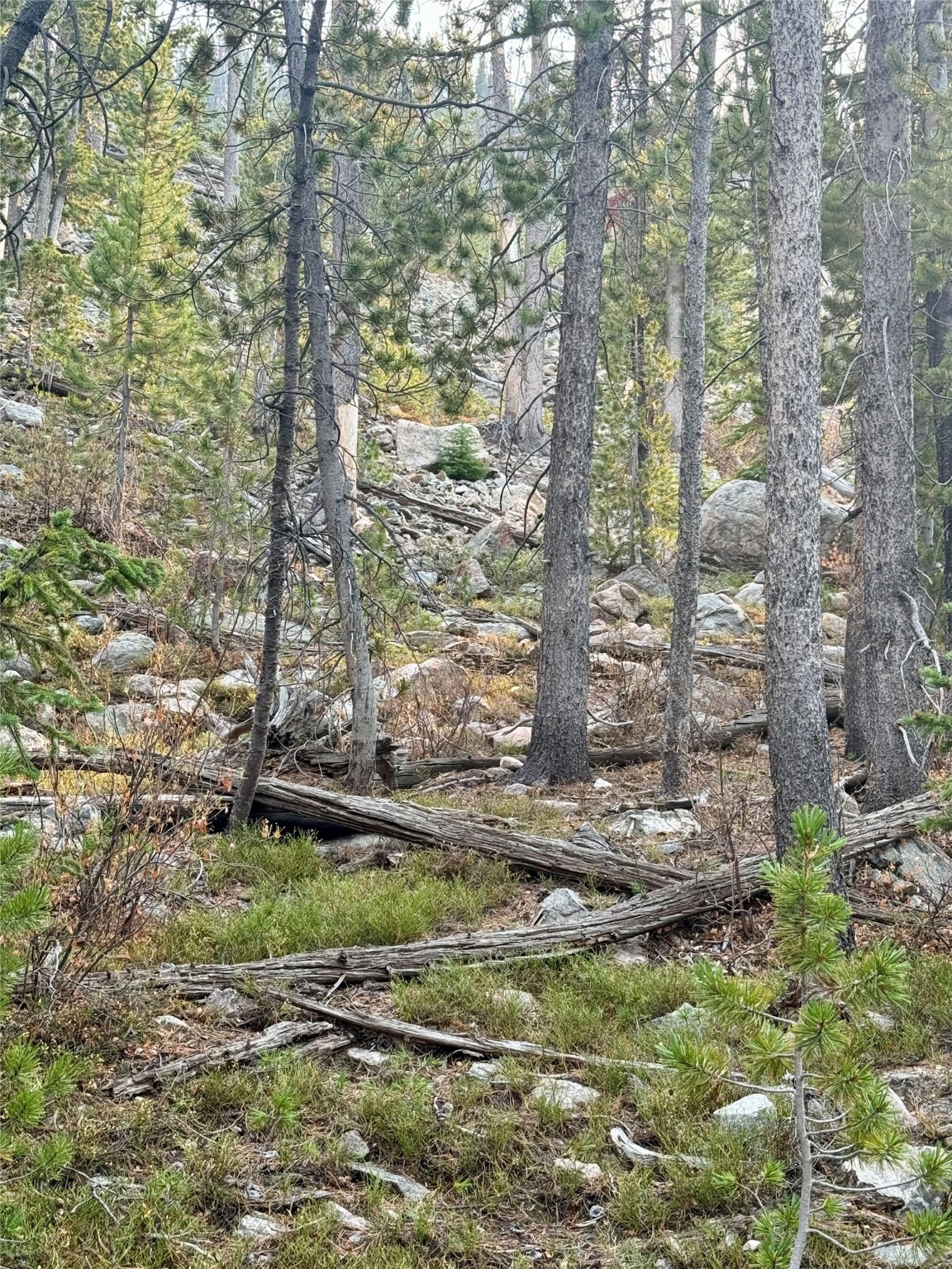 Nhn Lower Clear Creek Trail 66a Property Photo 67