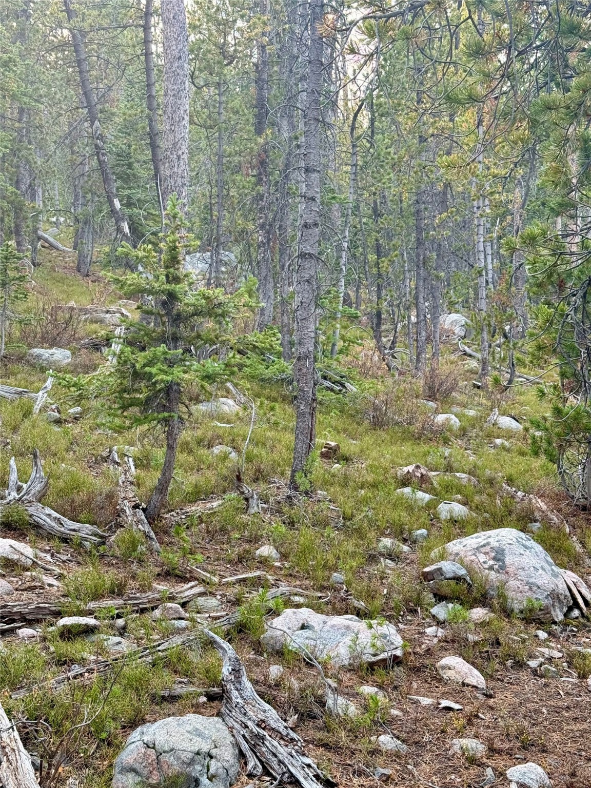 Nhn Lower Clear Creek Trail 66a Property Photo 68