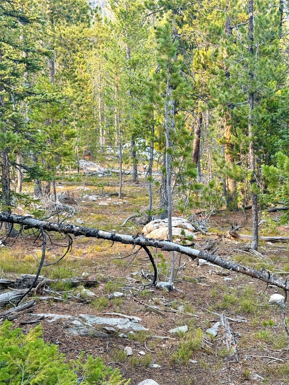 Nhn Lower Clear Creek Trail 66a Property Photo 69