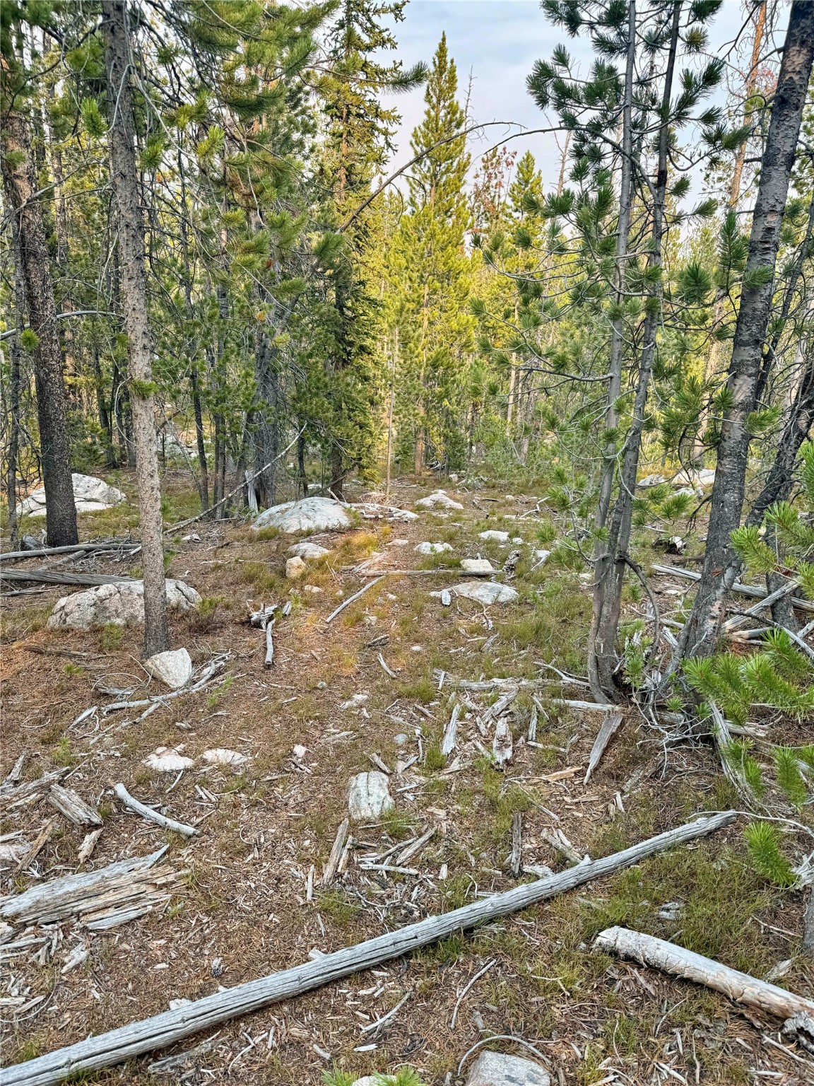 Nhn Lower Clear Creek Trail 66a Property Photo 72