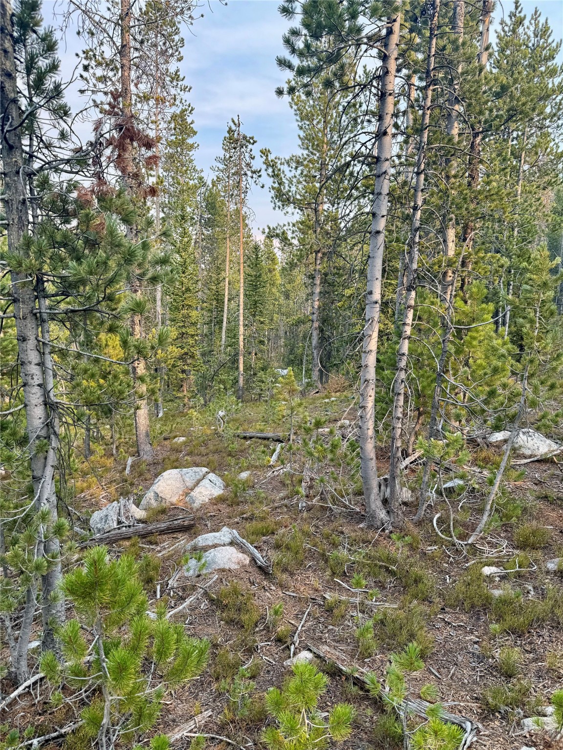 Nhn Lower Clear Creek Trail 66a Property Photo 73