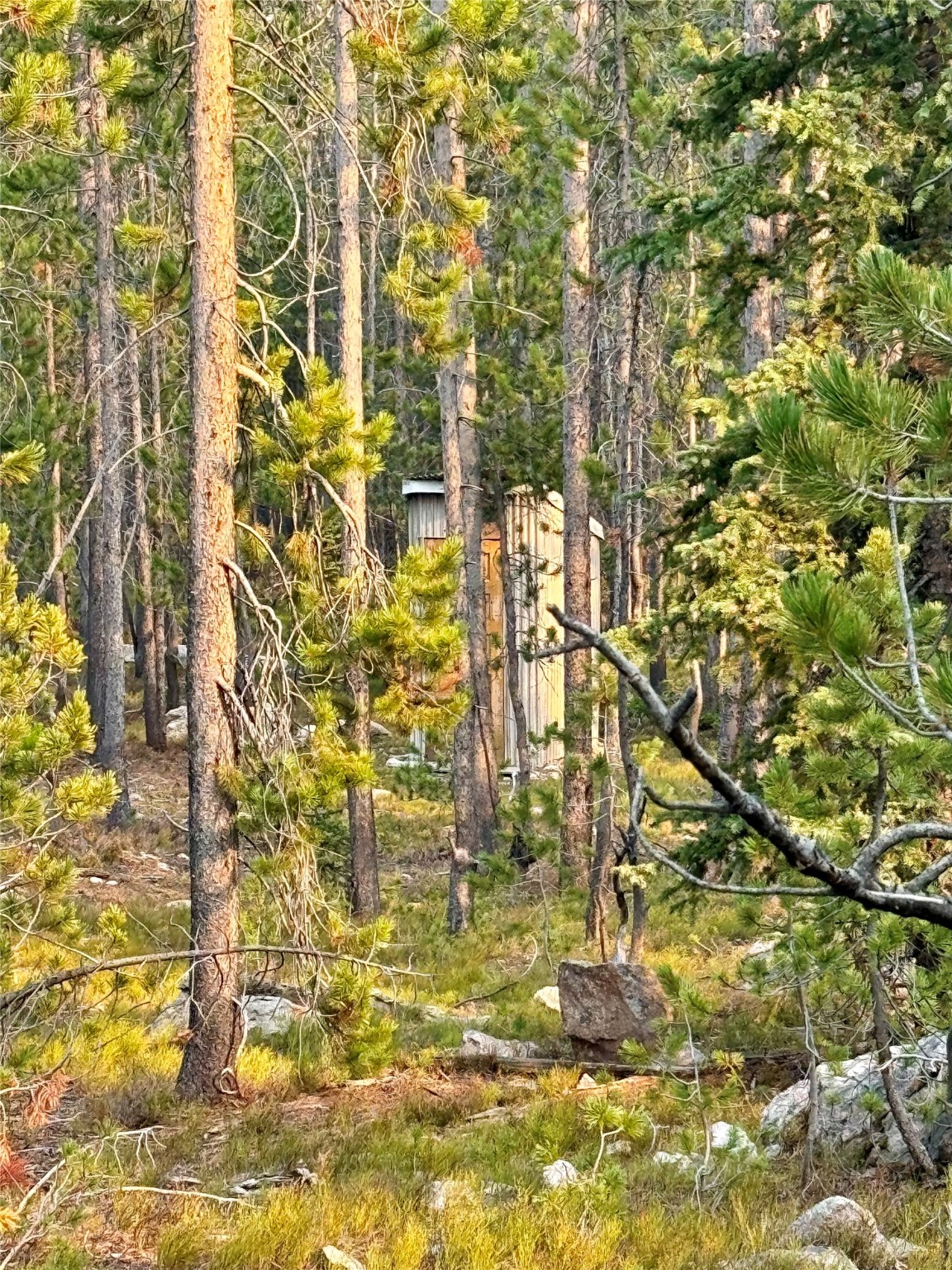 Nhn Lower Clear Creek Trail 66a Property Photo 74