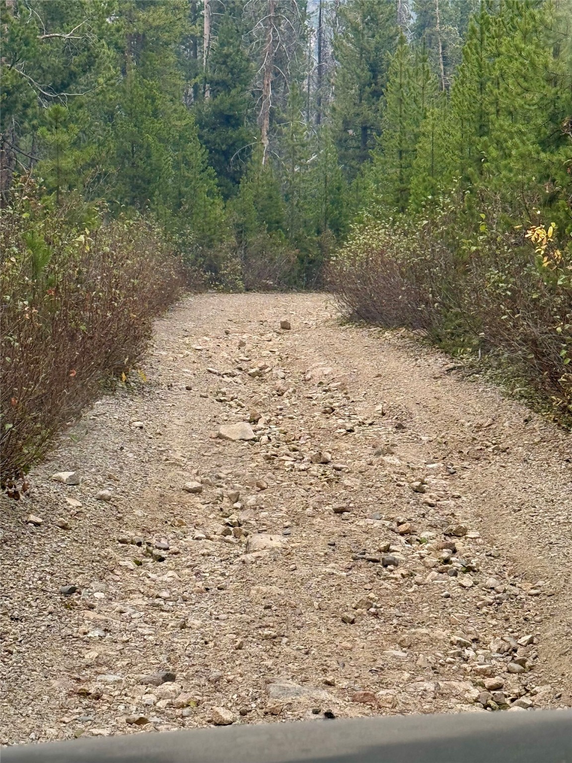 Nhn Lower Clear Creek Trail 66a Property Photo 77
