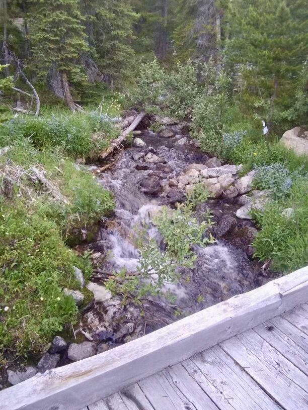 Nhn Lower Clear Creek Trail 66a Property Photo 78