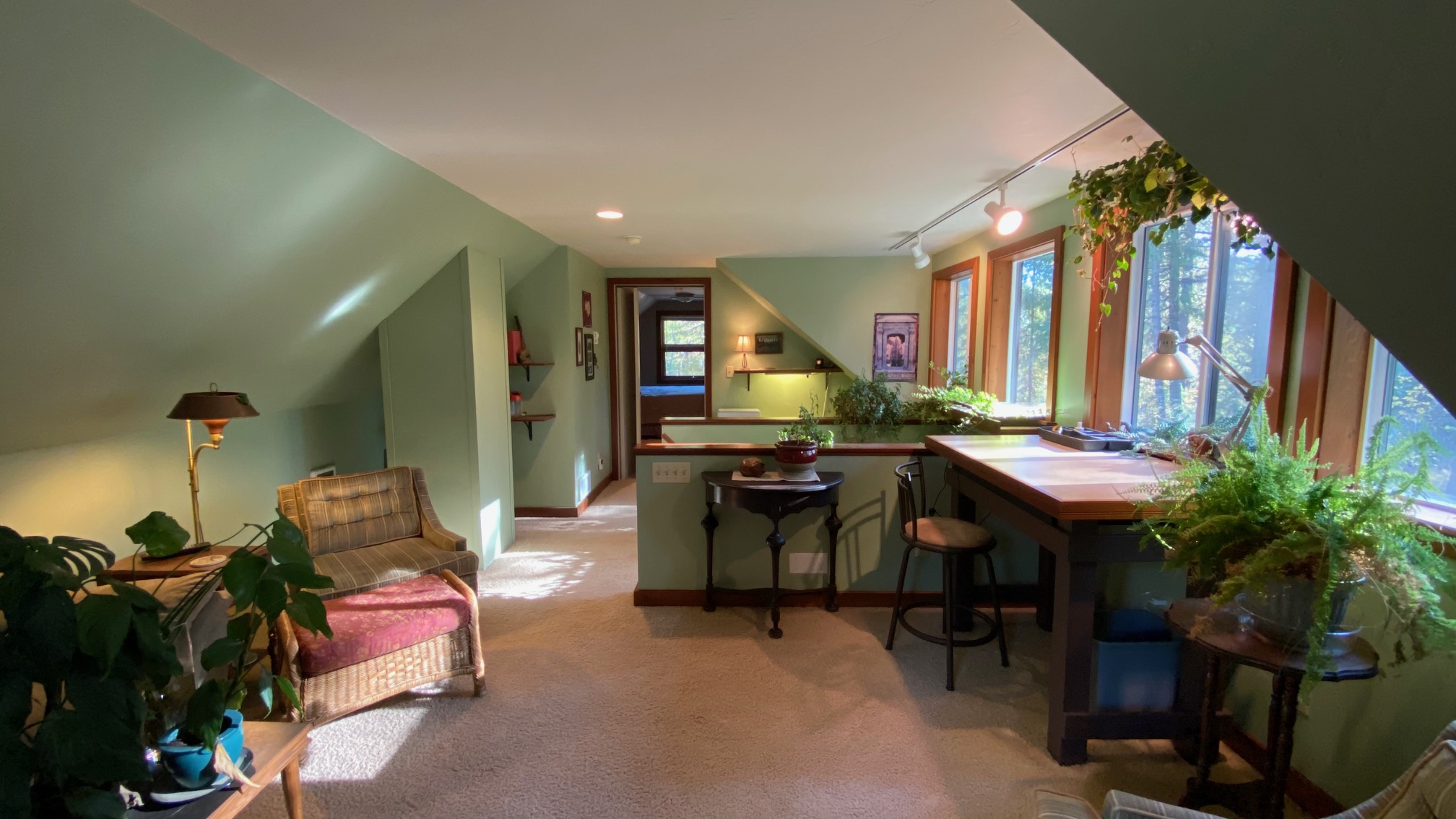 132 Little Mountain Road Property Photo 29